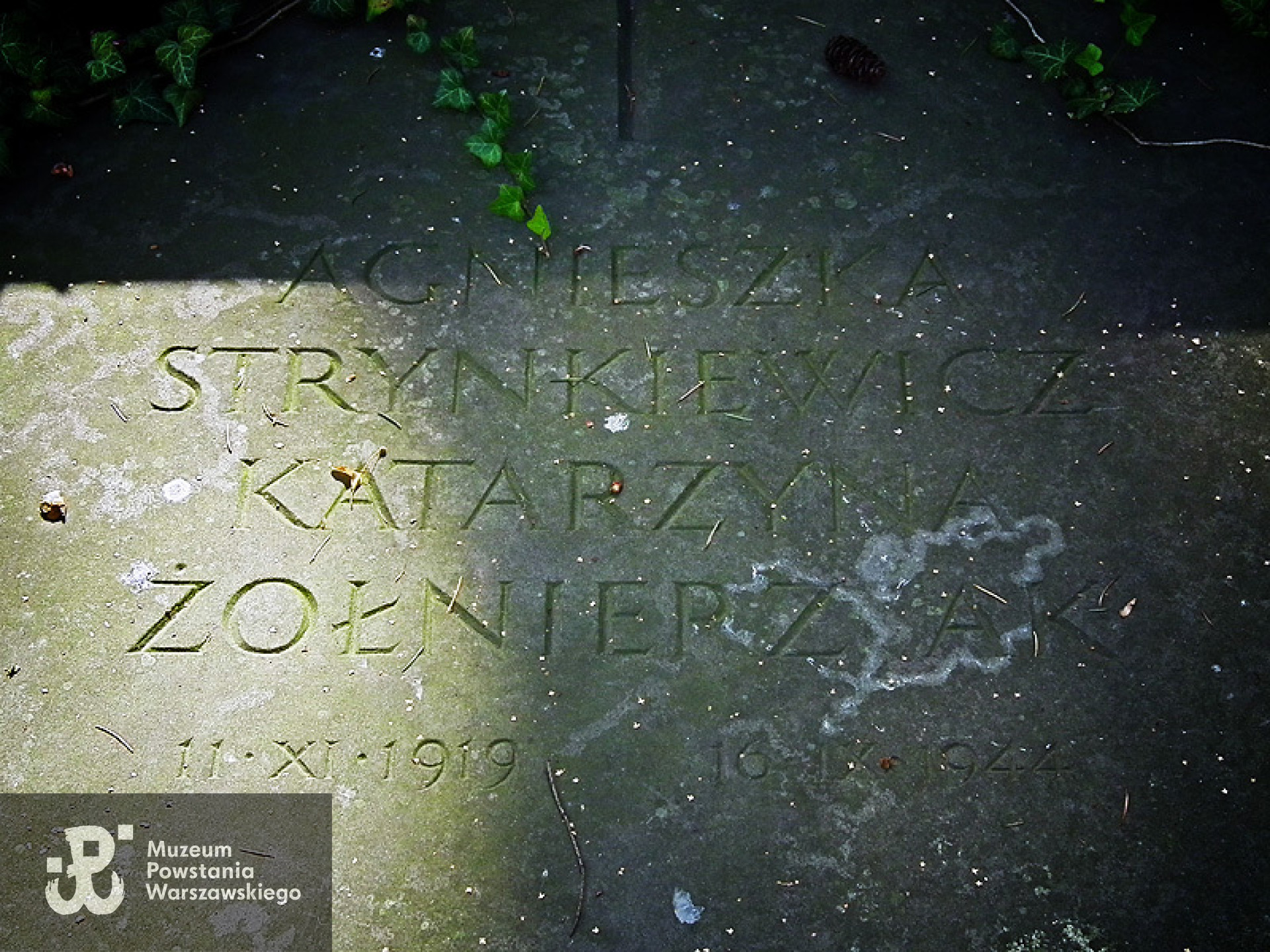 Warszawa, Powązki Wojskowe. Skan udostępniła p. Magdalena Ciok.