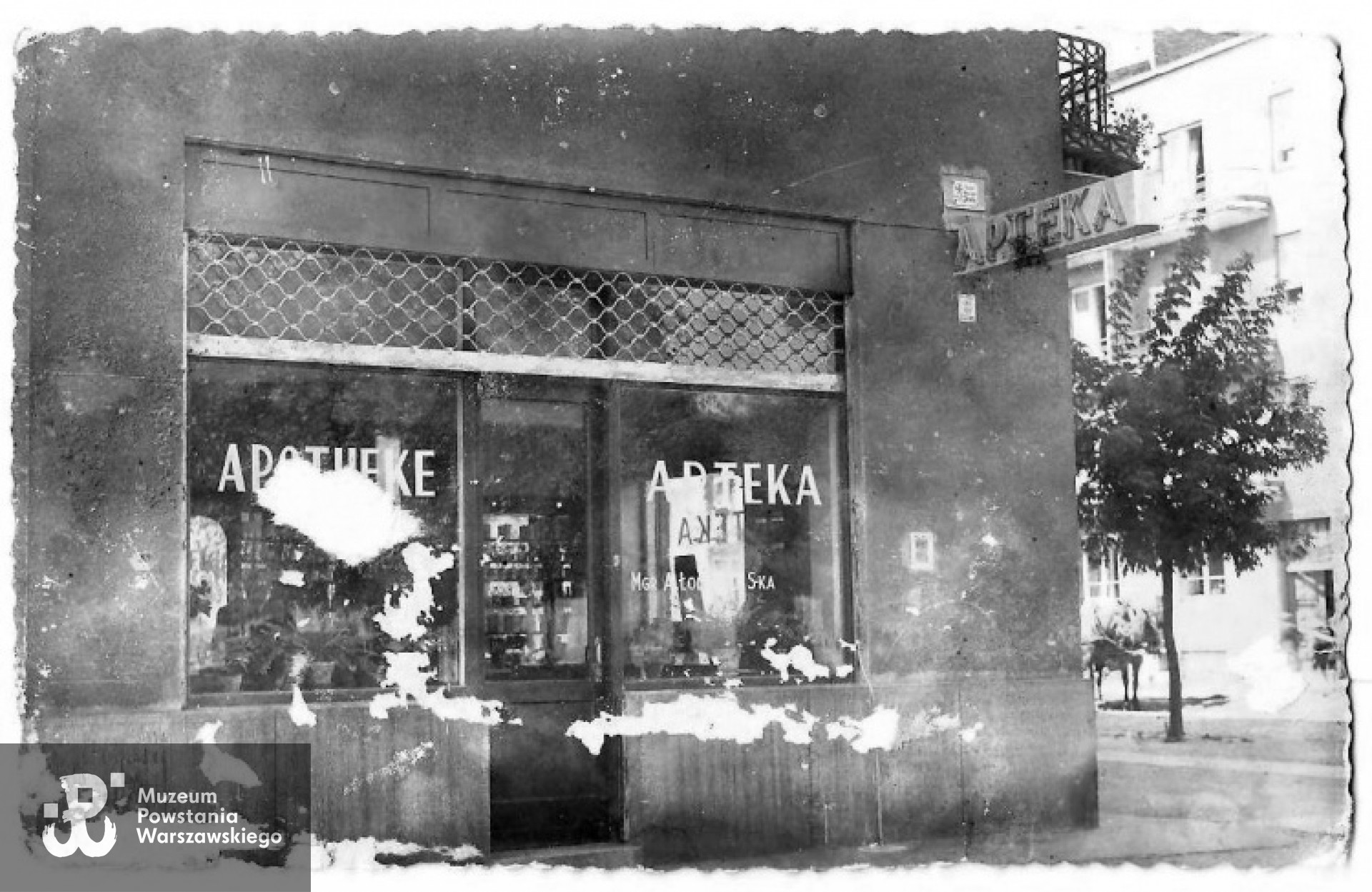 Apteka "Mgr A.Łodziński i S-ka", ul. Kazimierzowska 65, ok 1942 r.