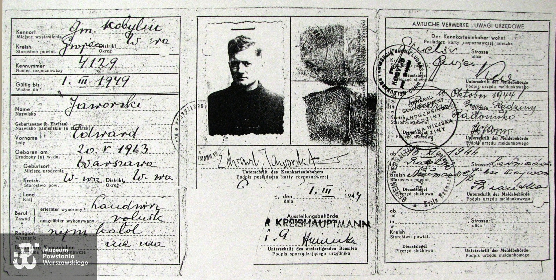 "Lewa" kenkarta Edwarda Jamnickiego wystawiona w czasie wojny na fałszywe nazwisko Jaworski. Kserokopia dołączona w 1999 r. do materiałów Ankiety Uczestnika Powstania Warszawskiego - Fundacja Słownika Biograficznego PW, źródło: archiwum rodzinne Zofii Jaskólskiej z d. Jamnickiej, kserokopia: Archiwum Romualda Śreniawy-Szypiowskiego. 