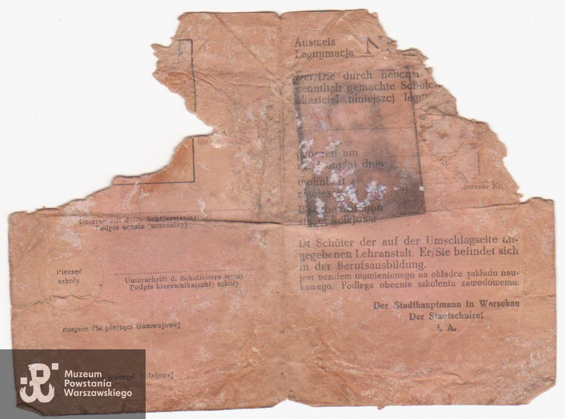 Dokumenty odnalezione podczas ekshumacji łączniczki "Basi", przekazane rodzinie - fragment legitymacji szkolnej (Schülerausweisu).  Kserokopia dokumentu z archiwum rodzinnego udostępnił p. Andrzej Wichowski