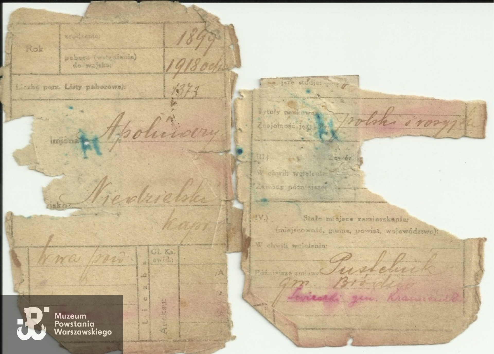 Fot. zbiory prywatne