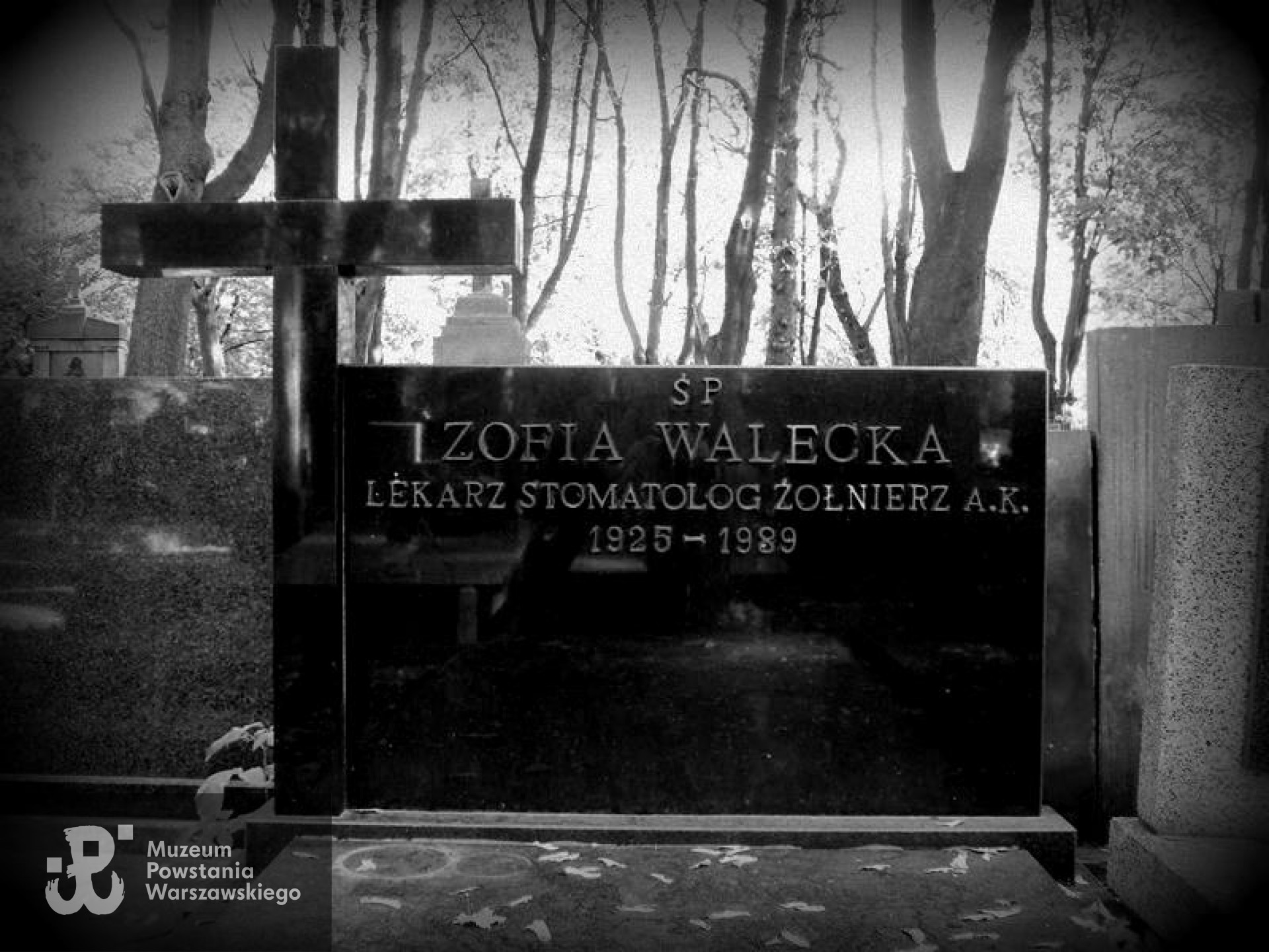 Fot. Warszawskie Zabytkowe Pomniki Nagrobne - <i>cmentarze.um.warszawa.pl</i>