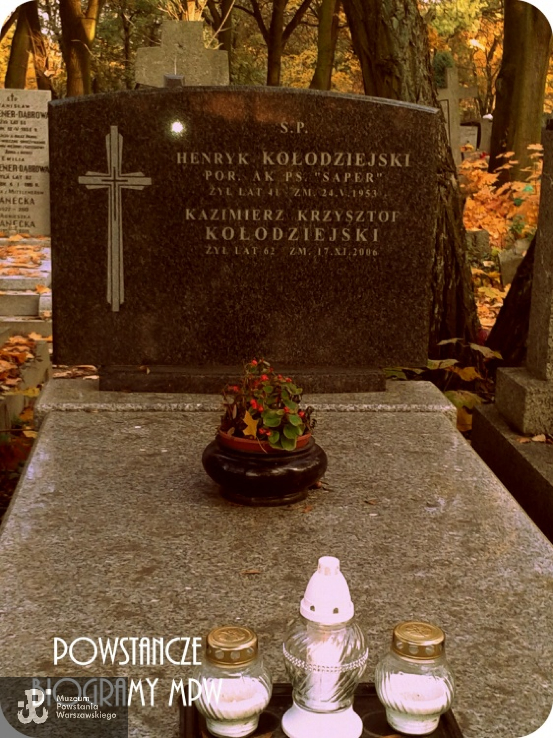 Cmentarz Bródnowski w Warszawie. Fot. MPW