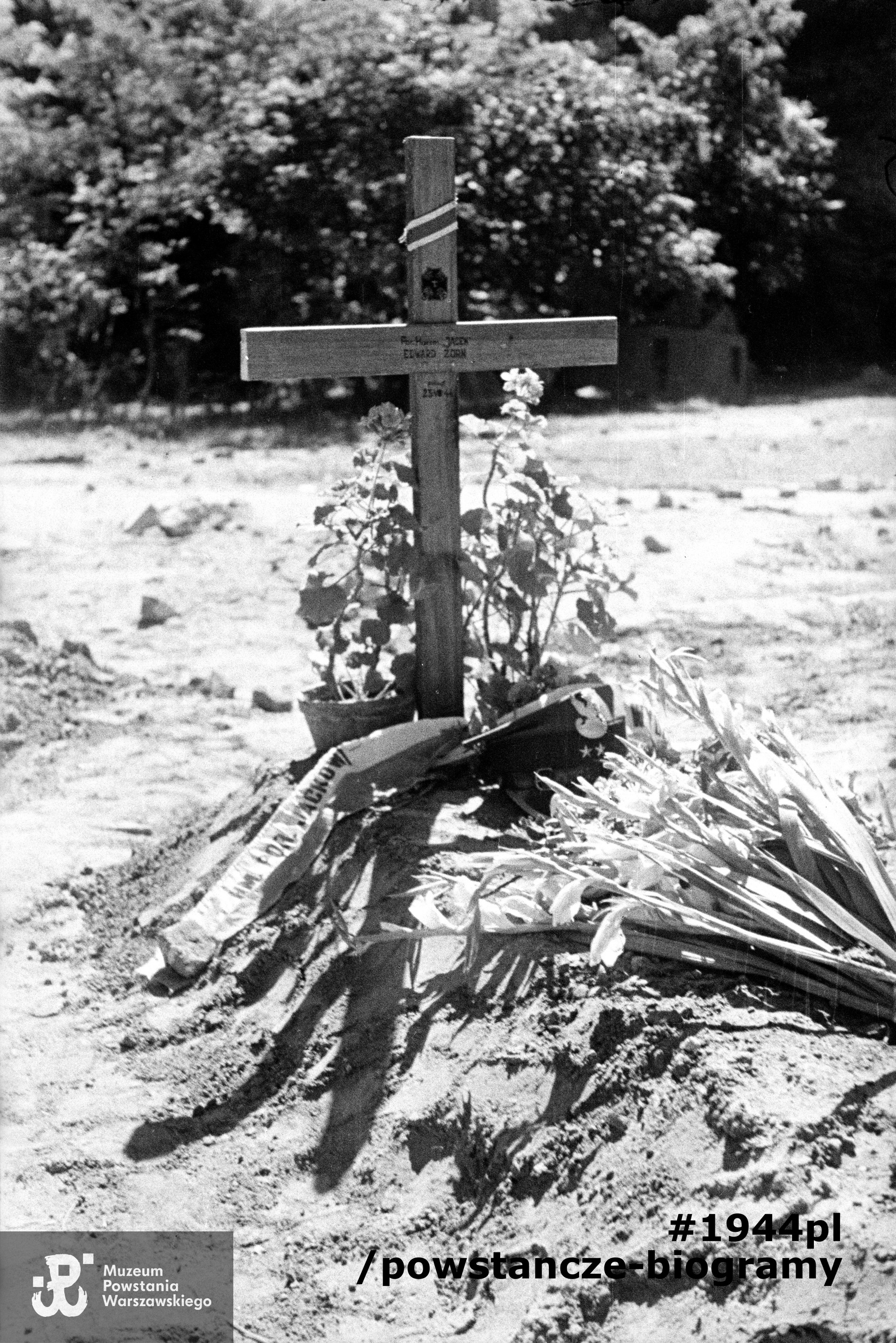  Fotografia z Powstania Warszawskiego autorstwa Tadeusza Bukowskiego ps. "Bończa" Grób powstańczy na cmentarzu na podwórzu na tyłach kamienicy przy Mazowieckiej 9 w ogródku restauracji "Batawia”. Na drewnianym krzyżu częściowo widoczny napis: Por. harcm.  "JACEK" EDWARD ZÜRN/poległ/23 VIII 44"  Na krzyżu plakietka z lilijką harcerską i biało-czerwona wstążeczka. Grób ozdobiony jest gladiolami i kwiatami doniczkowymi.. U podstawy przewiązana szeroka biało-czerwona szarfa z częściowo czytelnym napisem; "hm. por. >JACKOWI<". Sygn. MPW-IN/12238 (MPW-IN/12238 A15-25)