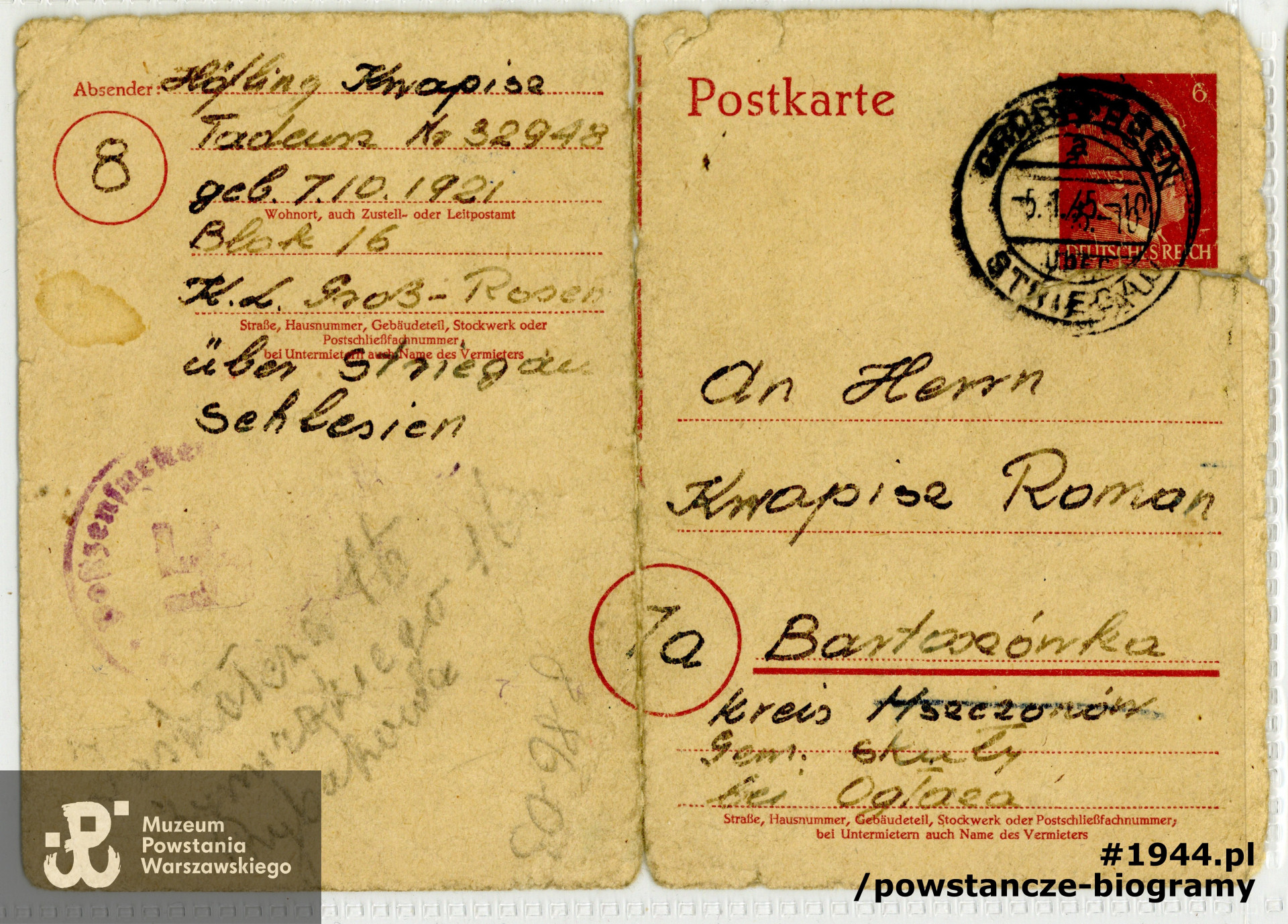 Ostatnie listy Tadeusza do rodziny pisane z KL Gross-Rosen - styczeń 1945. Z archiwum rodzinnego