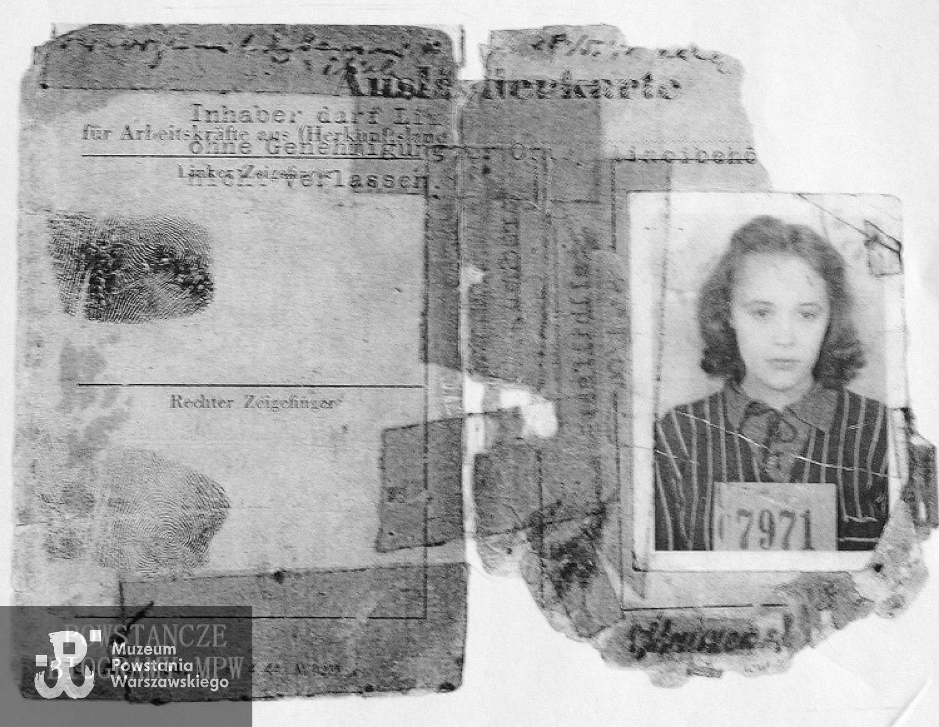 Karta pracy (Arbeitskarte) z pobytu Stanisławy Kruszewskiej w obozie pracy. Fot. z archiwum rodzinnego Marii Holki.