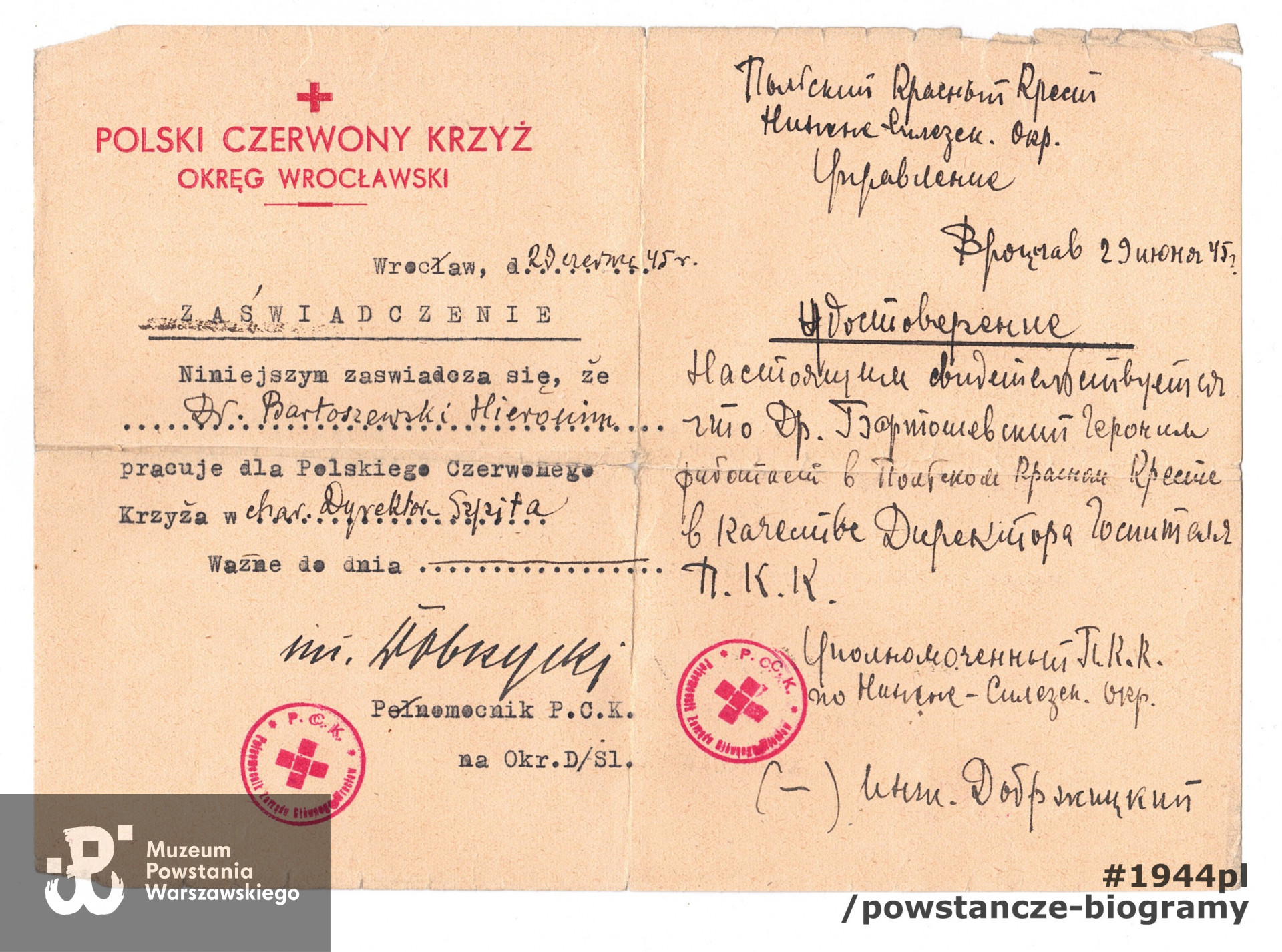 Zaświadczenie wystawione dla dr. Bartoszewskiego w maju 1945 roku przez Pełnomocnika PCK Okręgu Dolnośląskiego Polskiego Czerwonego Krzyża, potwierdzające, że dr Bartoszewski pracuje dla Polskiego Czerwonego Krzyża w charakterze dyrektora szpitala. Dokument ze zbiorów rodzinnych