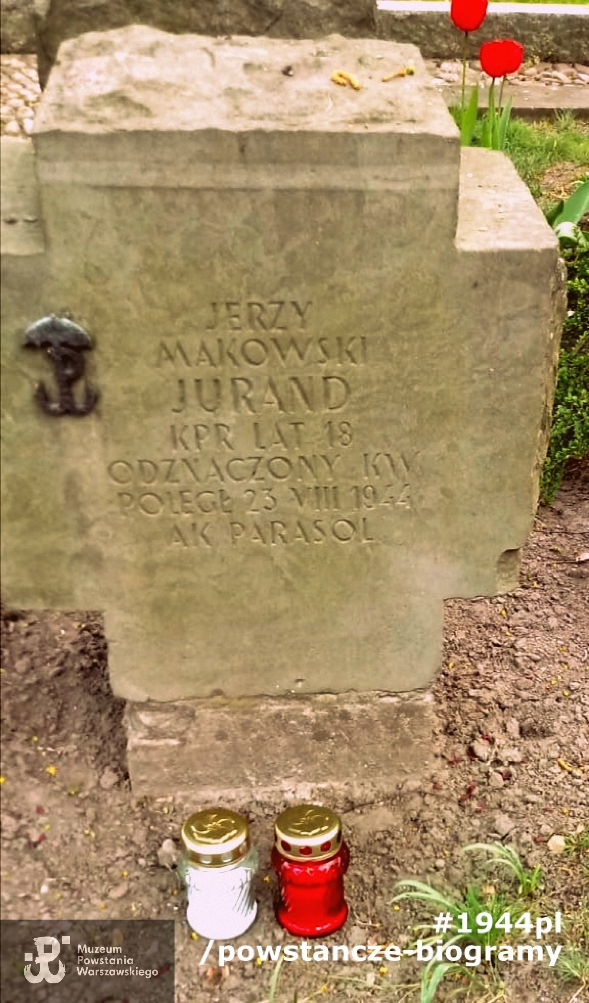 Cmentarz Powązki Wojskowe - kwatera "Parasola". Fot. p. Agnieszka Nagalska z domu Riedel 