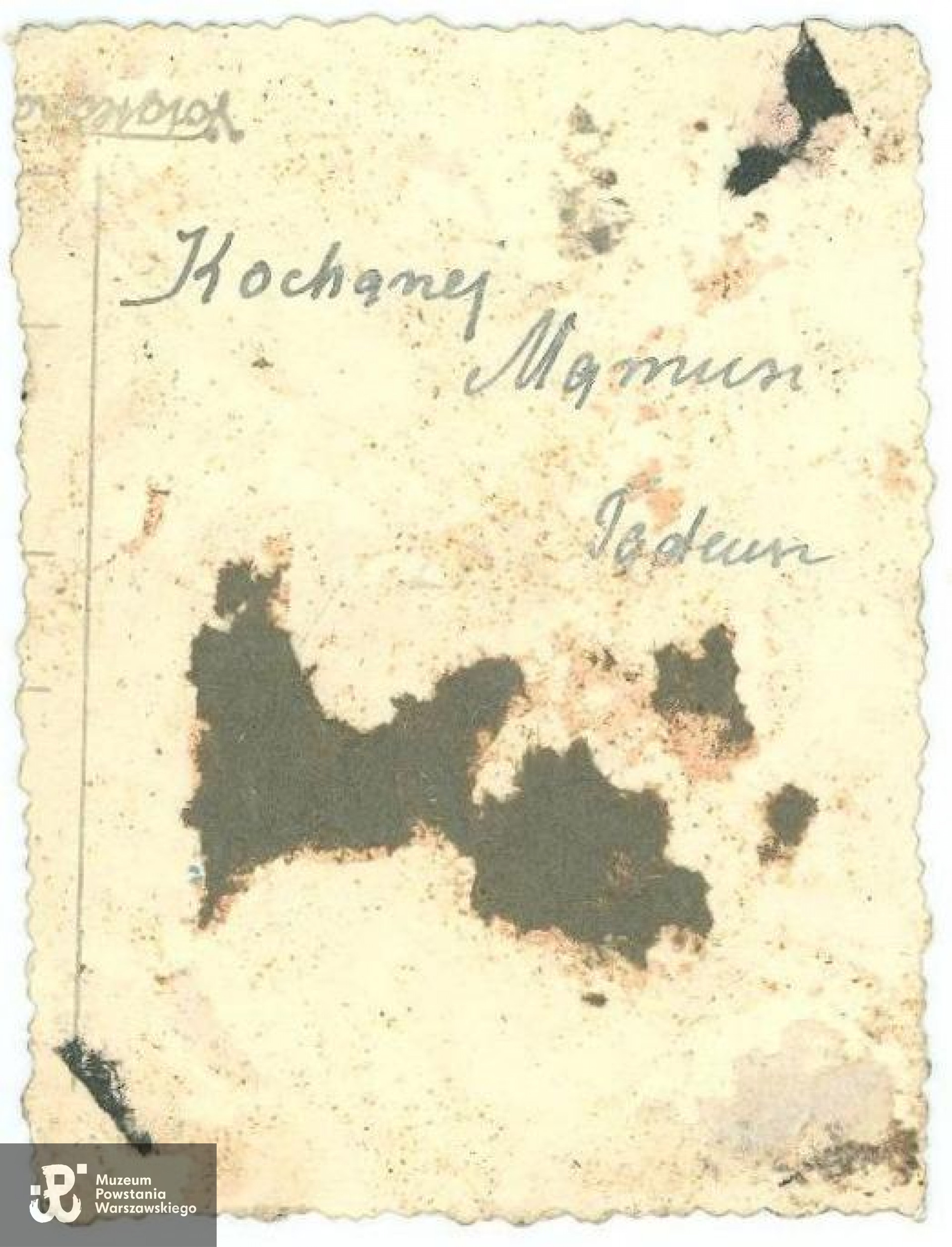 Rewers zdjęcia z napisaną odręcznie przez Tadeusza dedykacją dla matki. Fot. archiwum rodzinne.