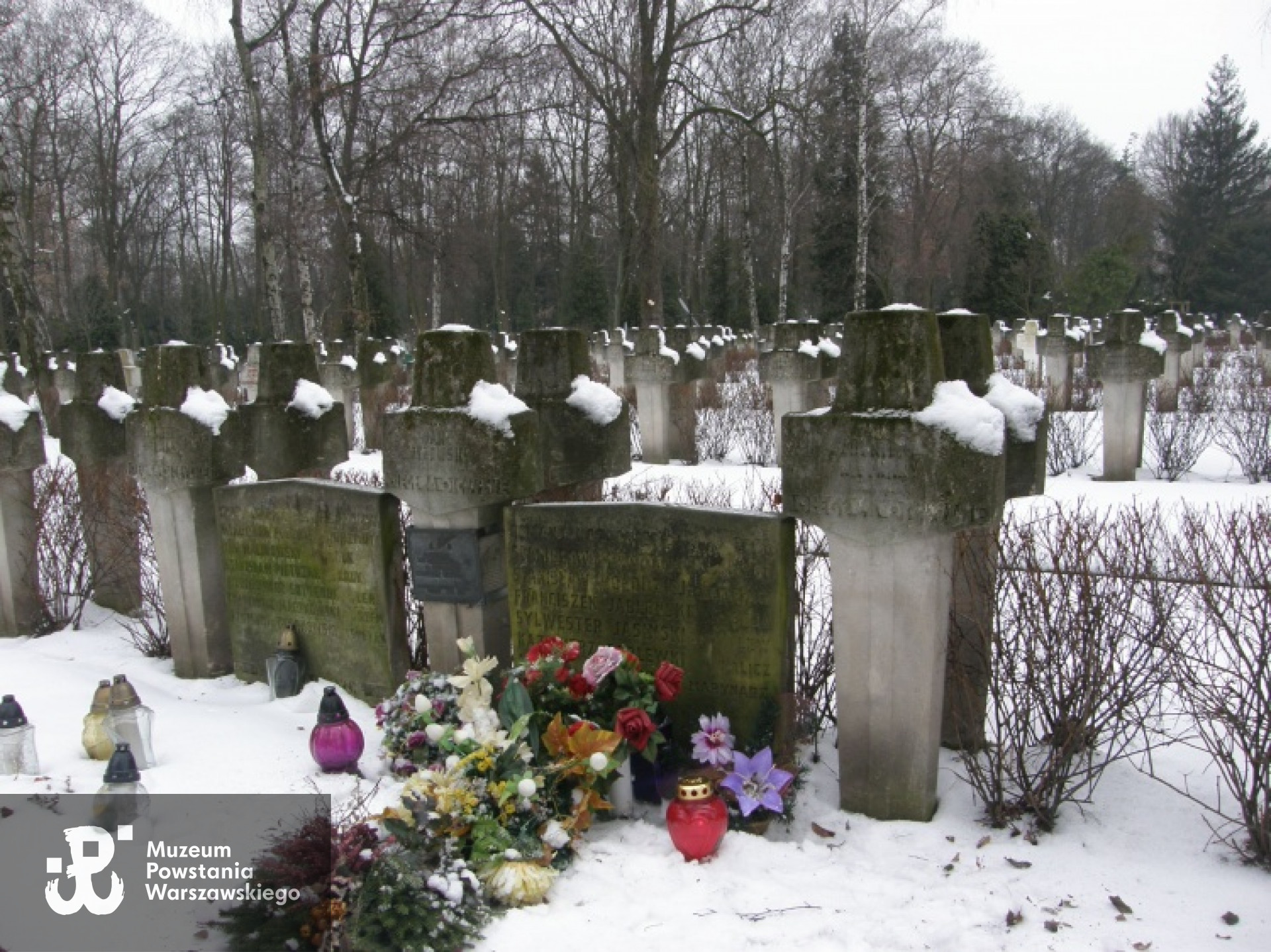 Tablica nagrobna na Cmentarzu Powązkowskim. Zdjęcie z archiwum rodzinnego Beaty Jabłońskiej