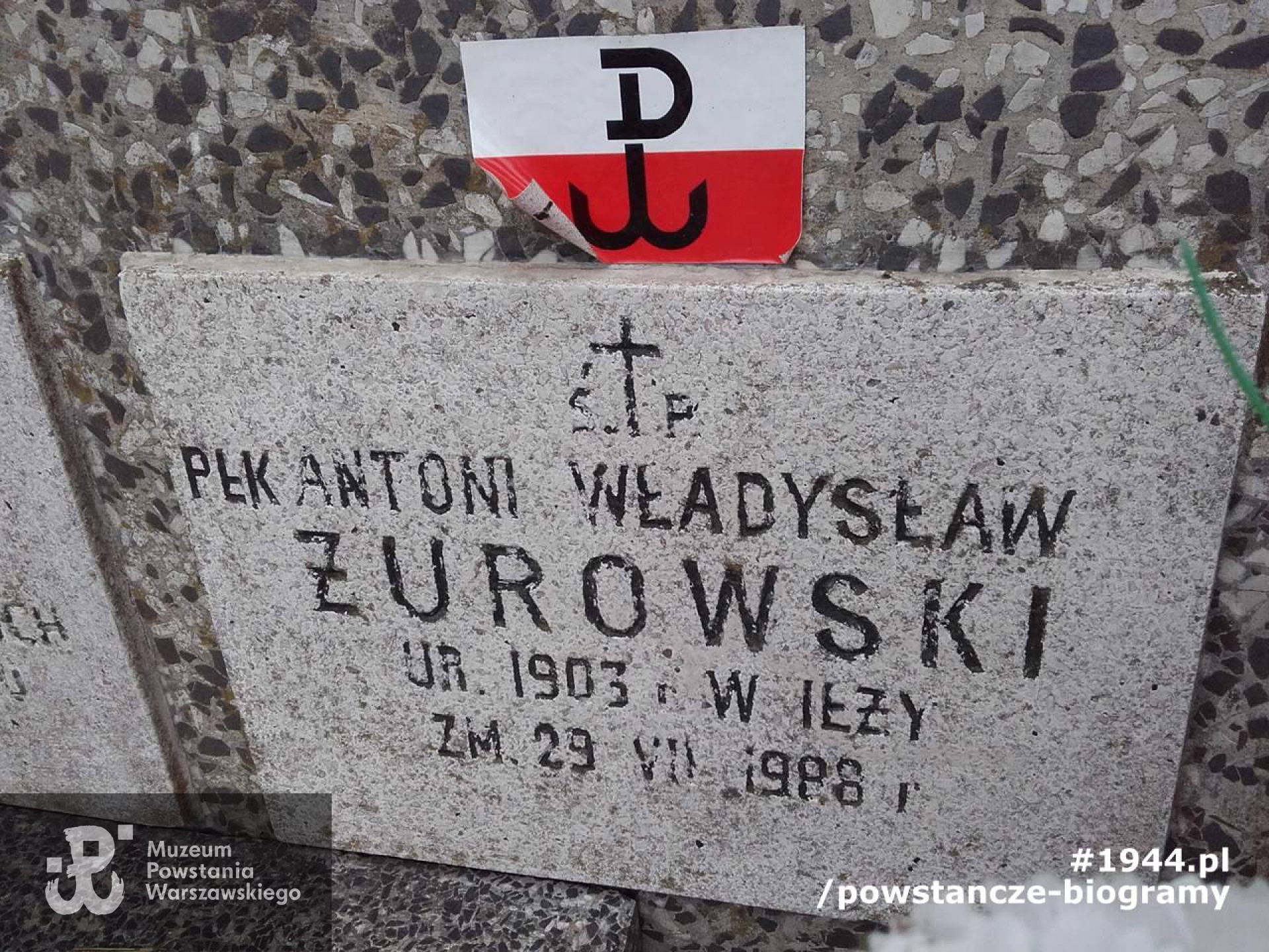 Cmentarz w Brwinowie. Fot. Mariusz Skroński