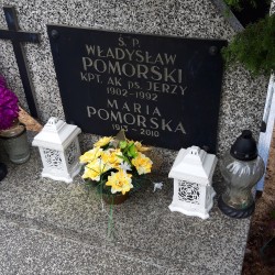 Cmentarz Komunalny Północny (Wólka Węglowa). Fot. Baza Grobów