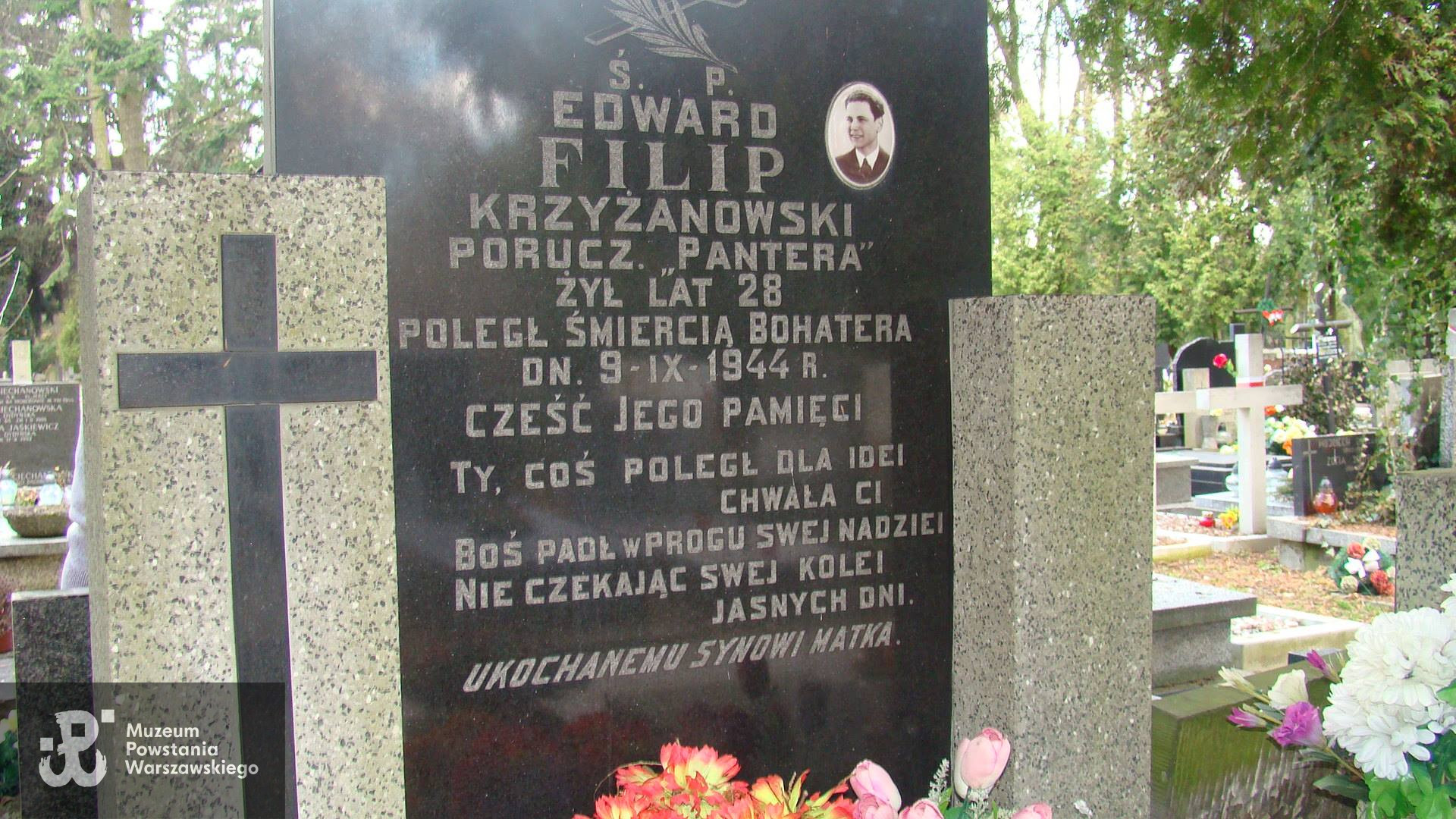 Fot. p. Beata Trzcińska