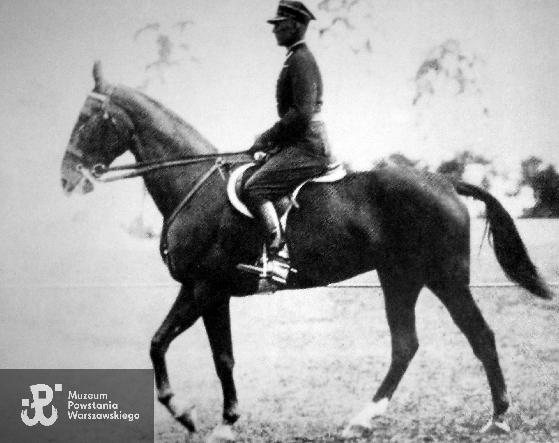  Rtm. Henryk Roycewicz (25 Pułk Ułanów Wielkopolskich) na wałachu "Arlekin III" podczas próby ujeżdżenia WKKW na Olimpiadzie w Berlinie w 1936 roku.Źródło fot. Wikimedia Commons, domena publiczna.