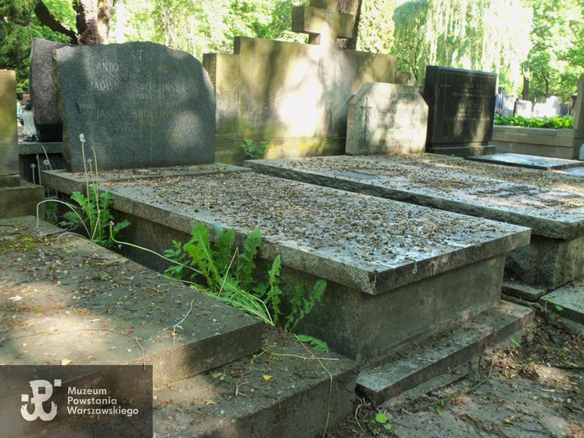 Fot. Warszawskie Zabytkowe Pomniki Nagrobne:  <i>cmentarze.um.warszawa.pl</i>