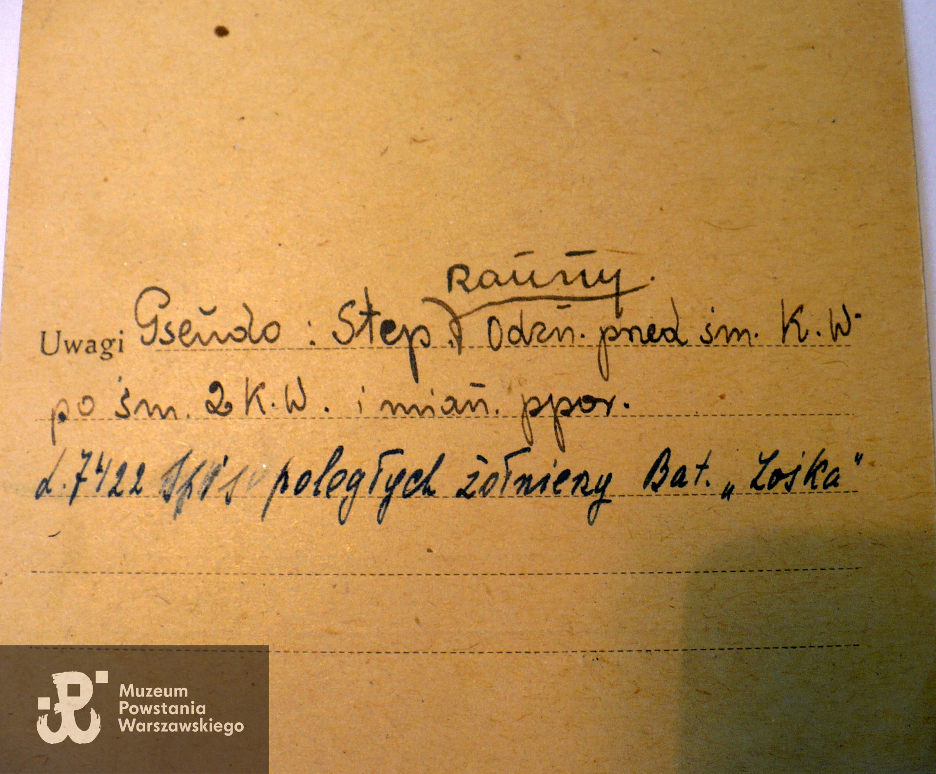 Polski Czerwony Krzyż - kartoteka