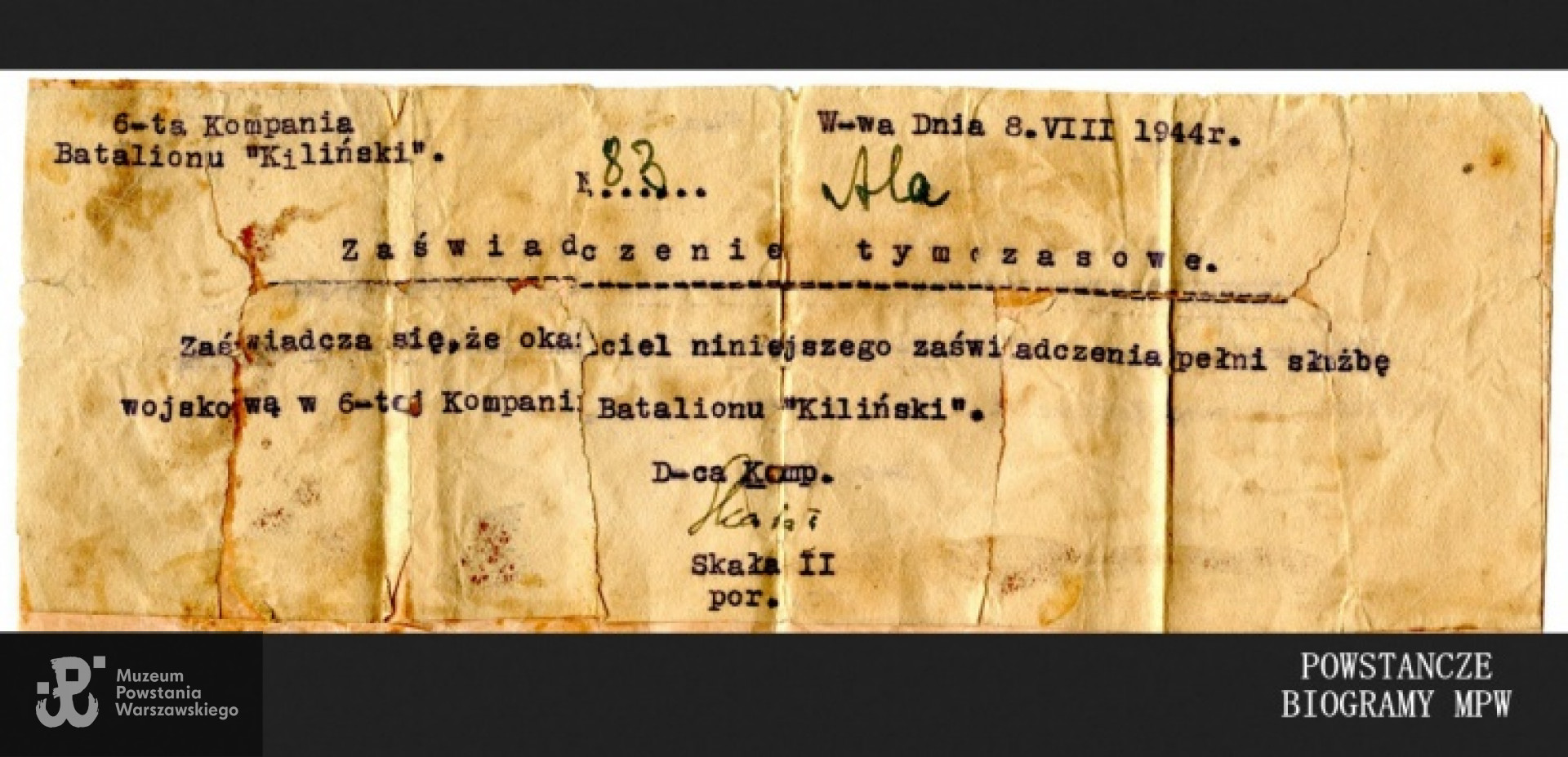 Fot. z archiwum Aliny Picazio