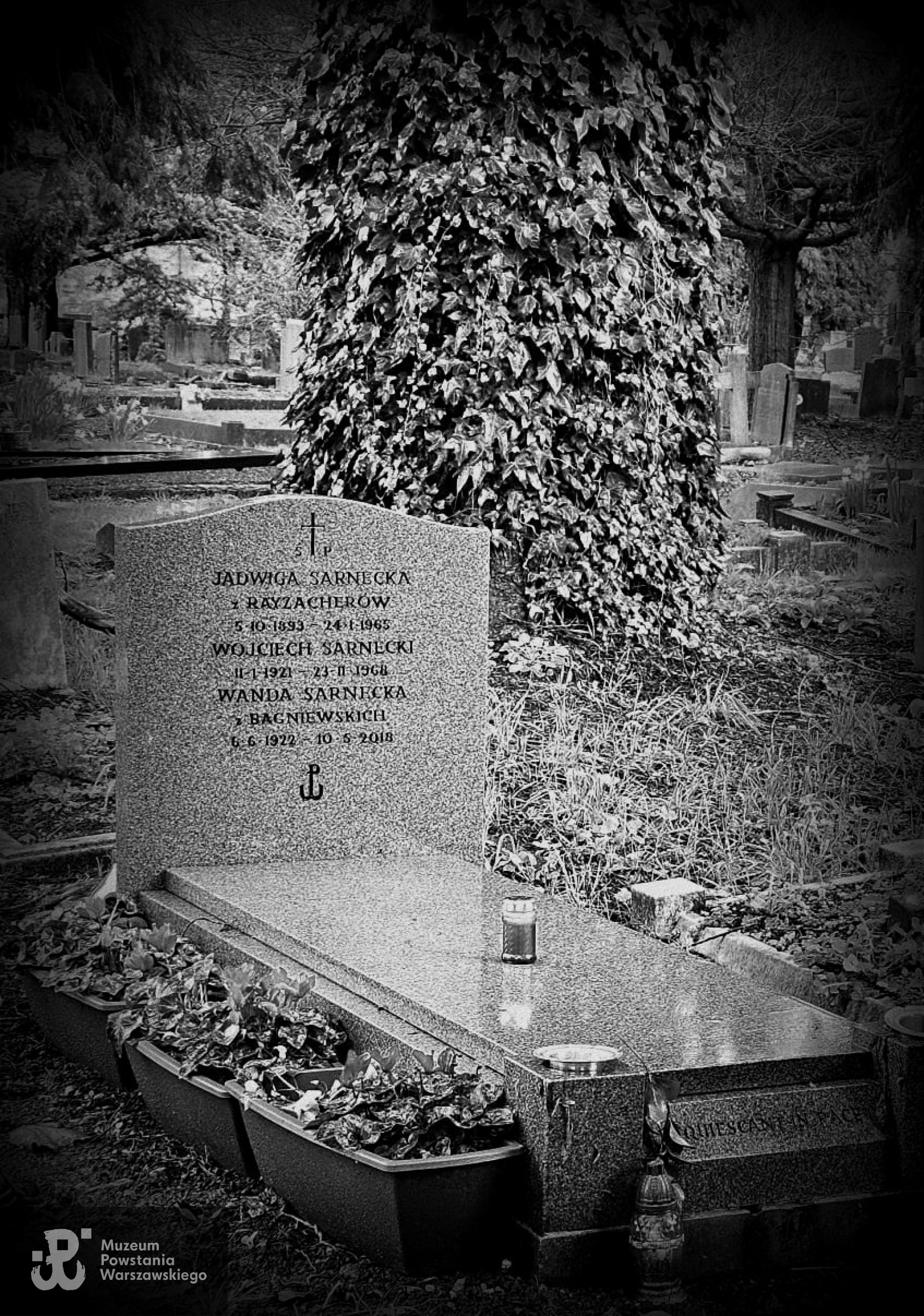 Cmentarz South Ealing w Londynie