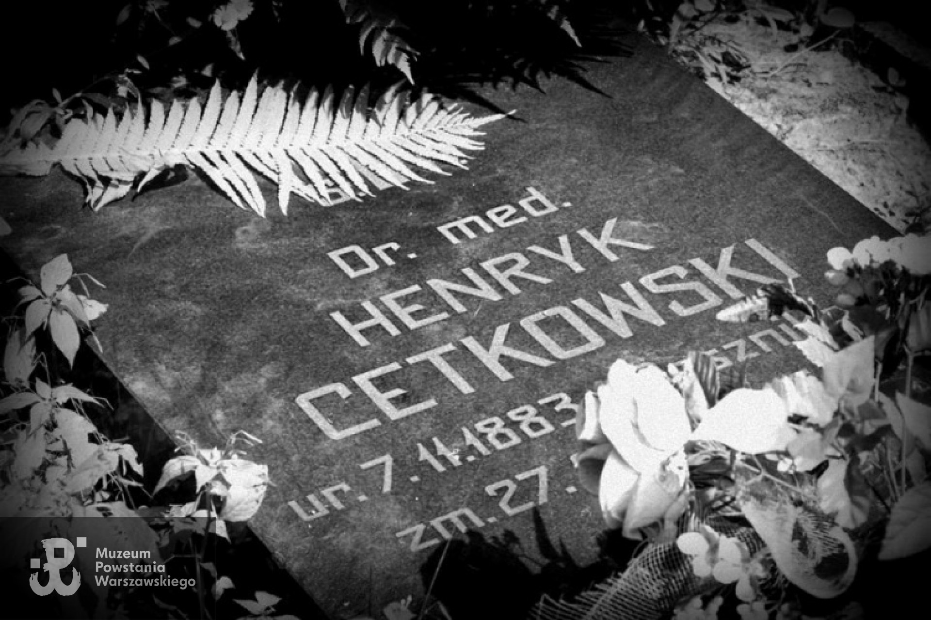 <i>źródło: www.zck.pl</i>