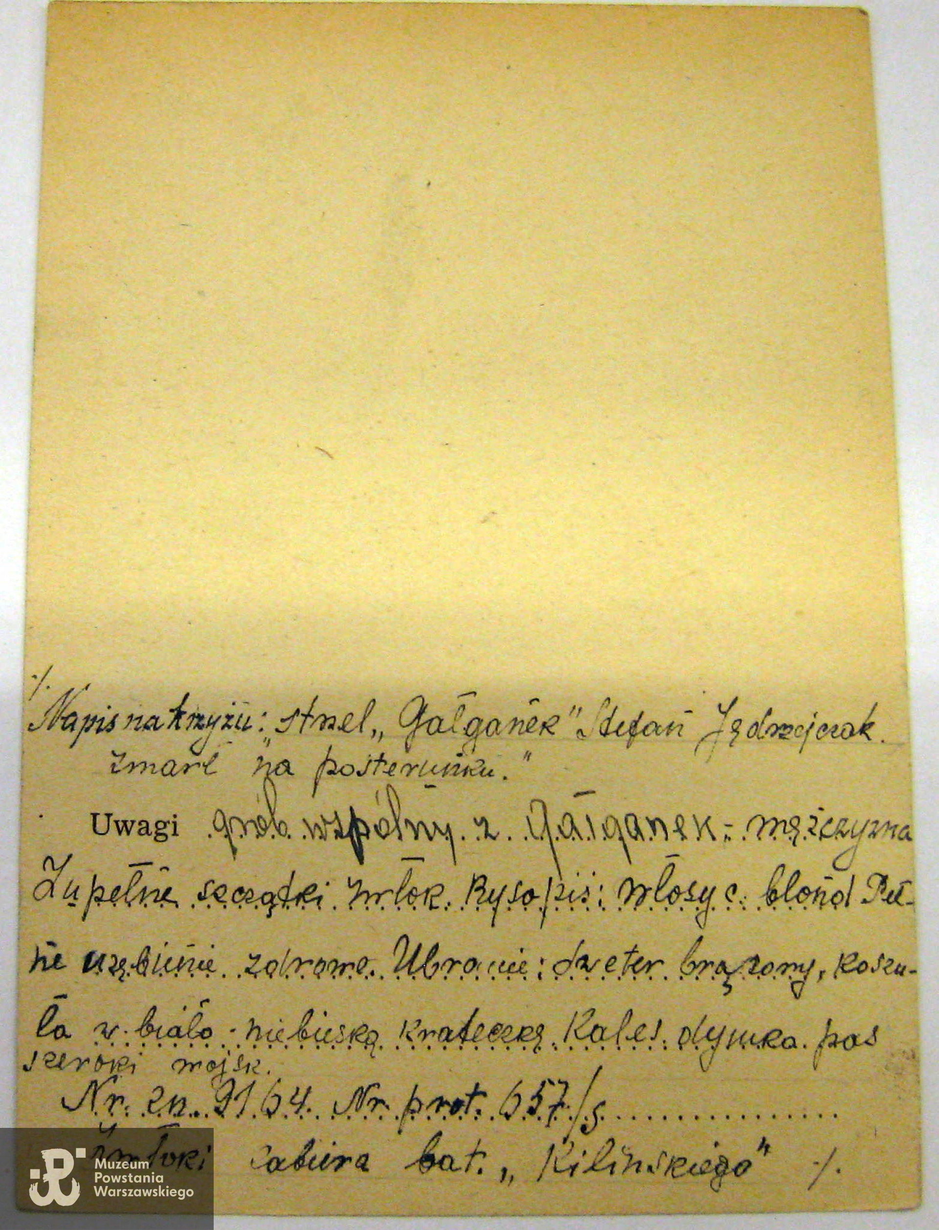 Polski Czerwony Krzyż - kartoteka