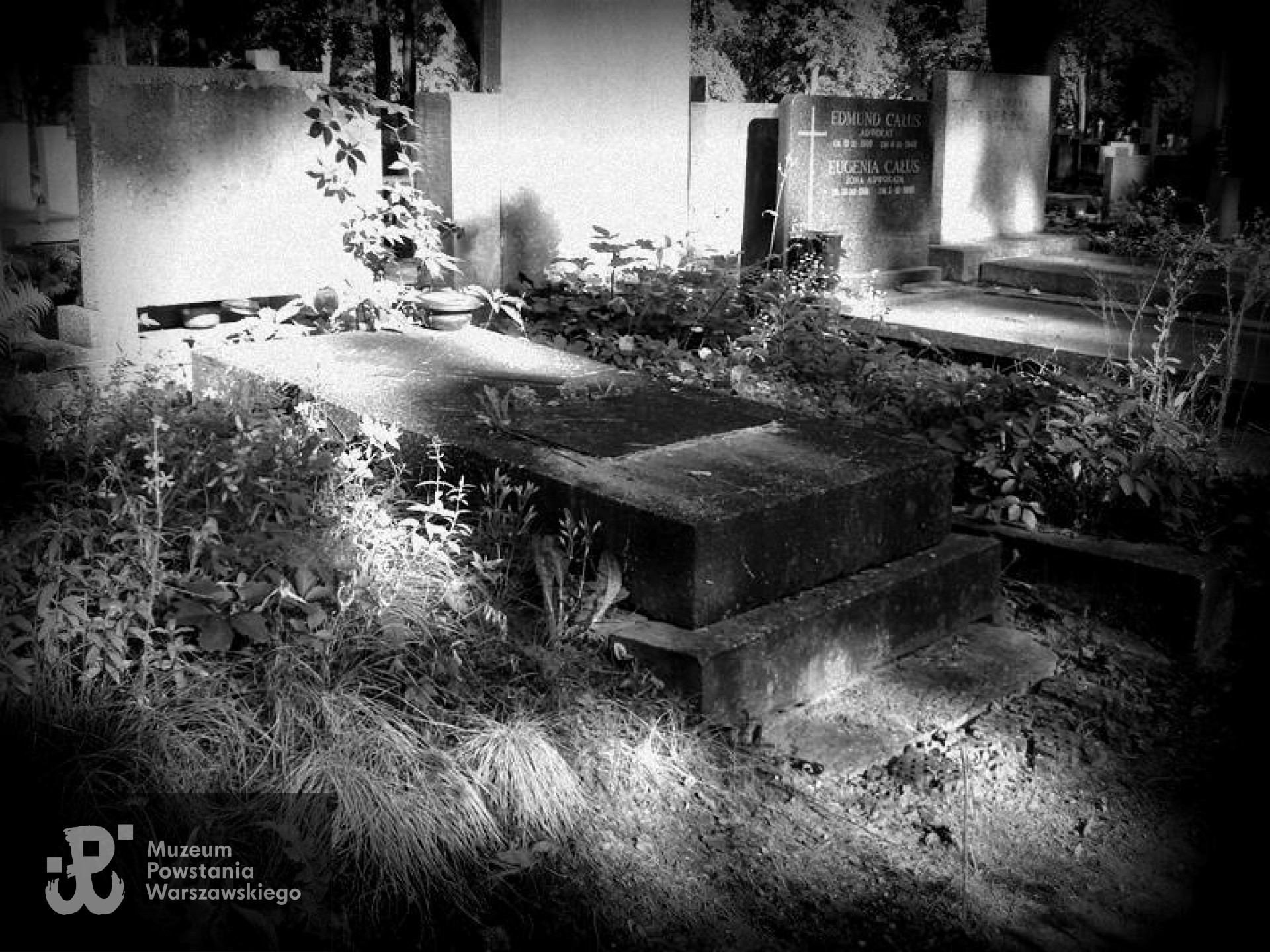 Fot. Warszawskie Zabytkowe Pomniki Nagrobne - <i>cmentarze.um.warszawa.pl</i>