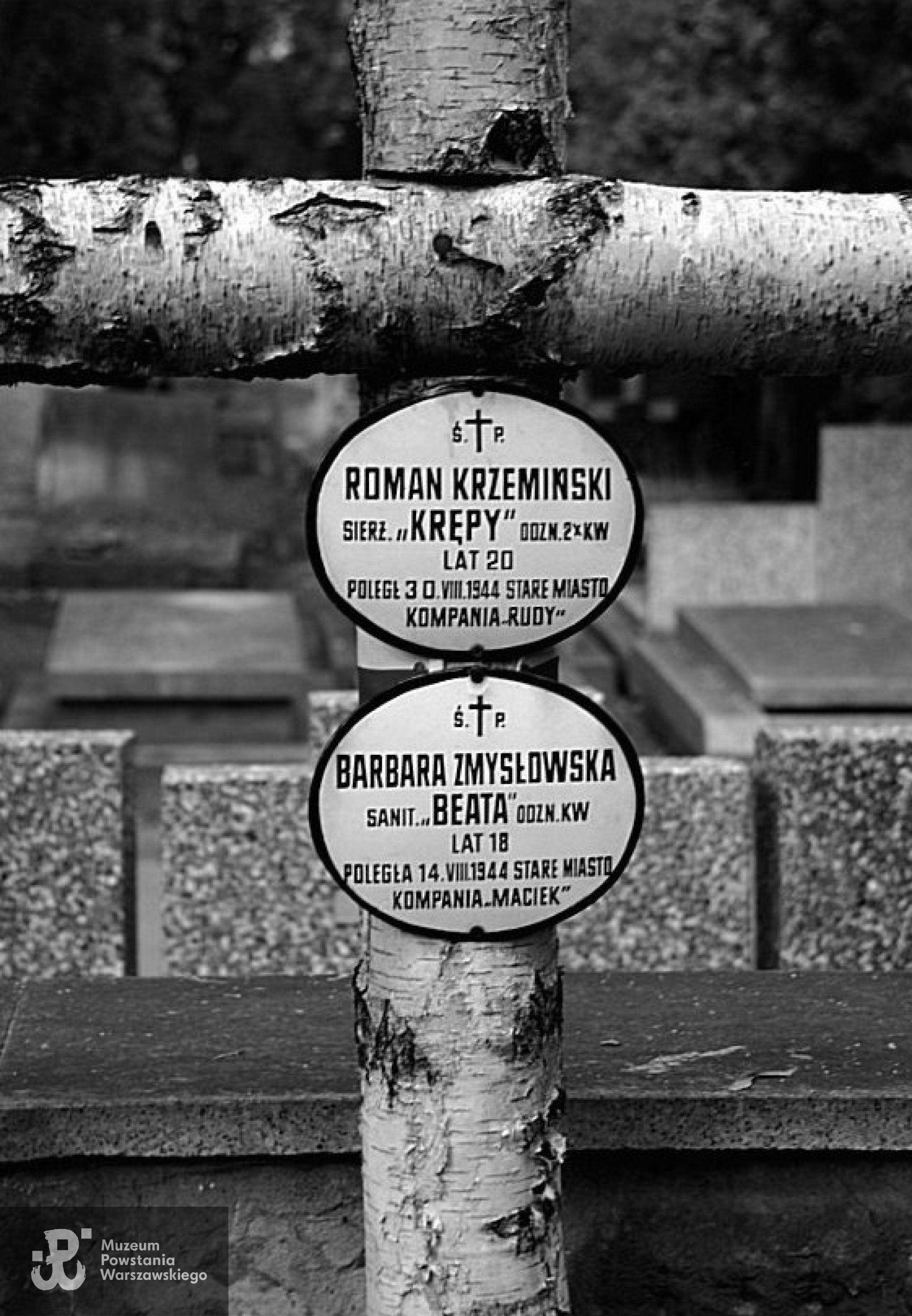 Mogiła na Powązkach Wojskowych, źródło fot.  Wikipedia - domena publiczna.