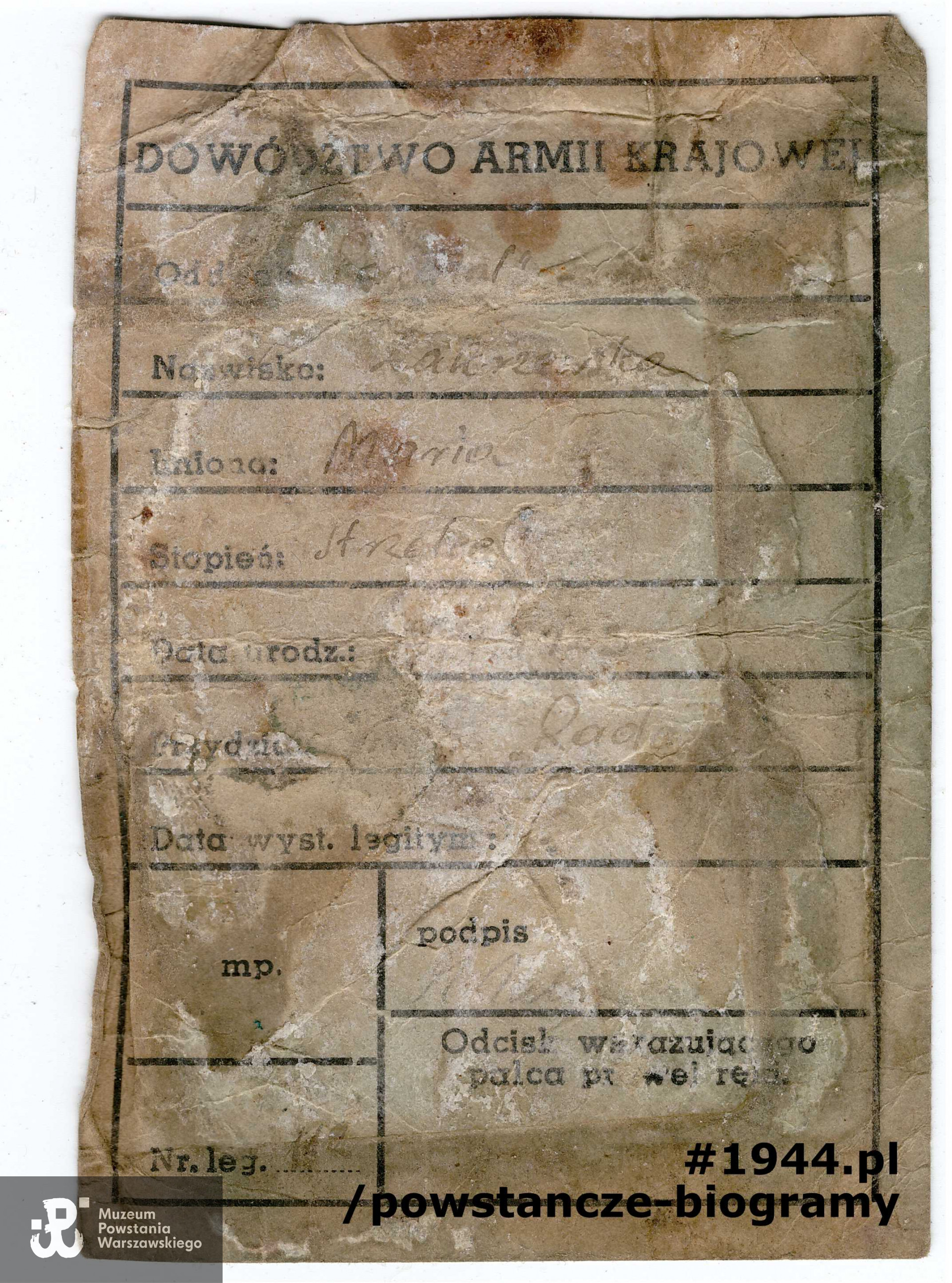 Legitymacja Dowództwa Armii Krajowej wystawiona na nazwisko Maria Zakrzewska. Dokument wydobyty podczas ekshumacji. Ze zbiorów Muzeum Powstania Warszawskiego, sygn. P/8984