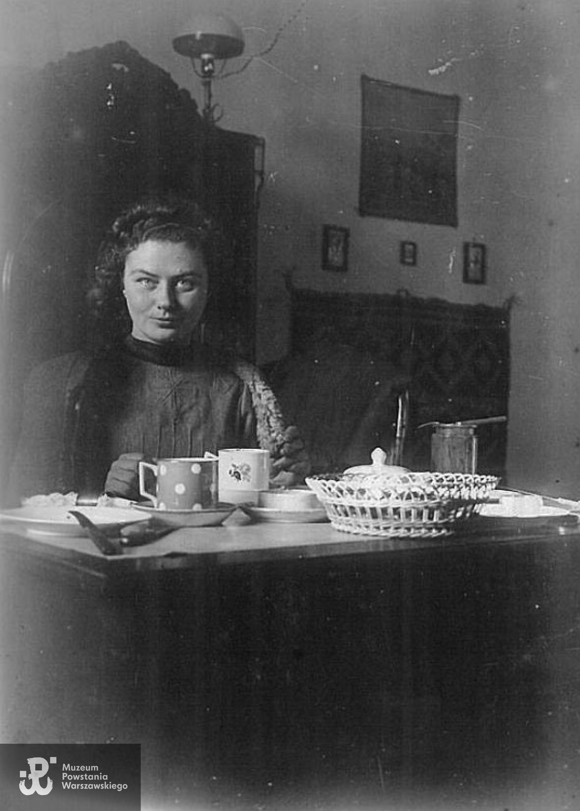 Julia Doktorowicz-Hrebnicka - lata okupacji