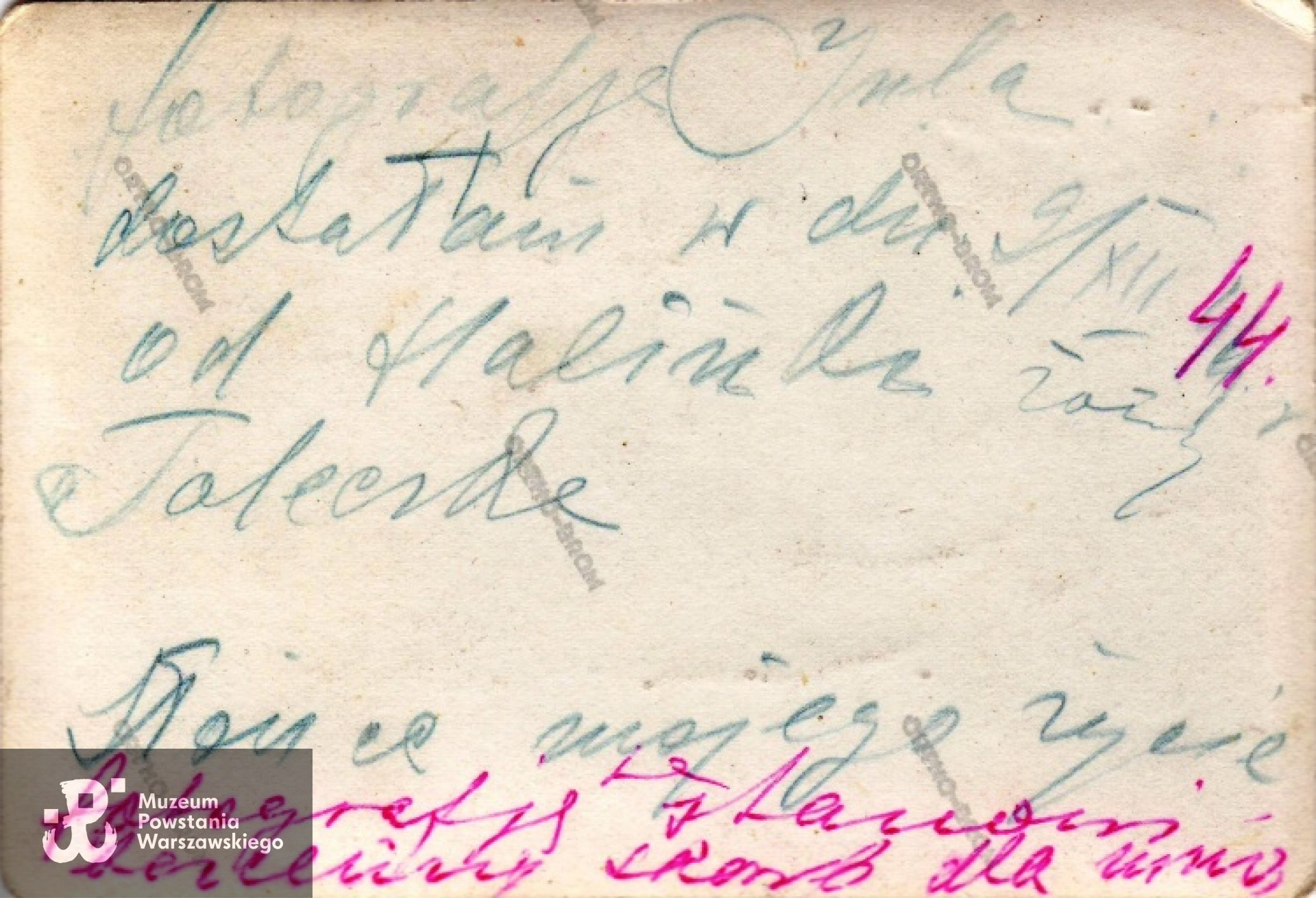 Rewers fotografii Juliusza.  Fot. z archiwum rodzinnego, udostępniła p. Ewa Płońska -  Hyjek