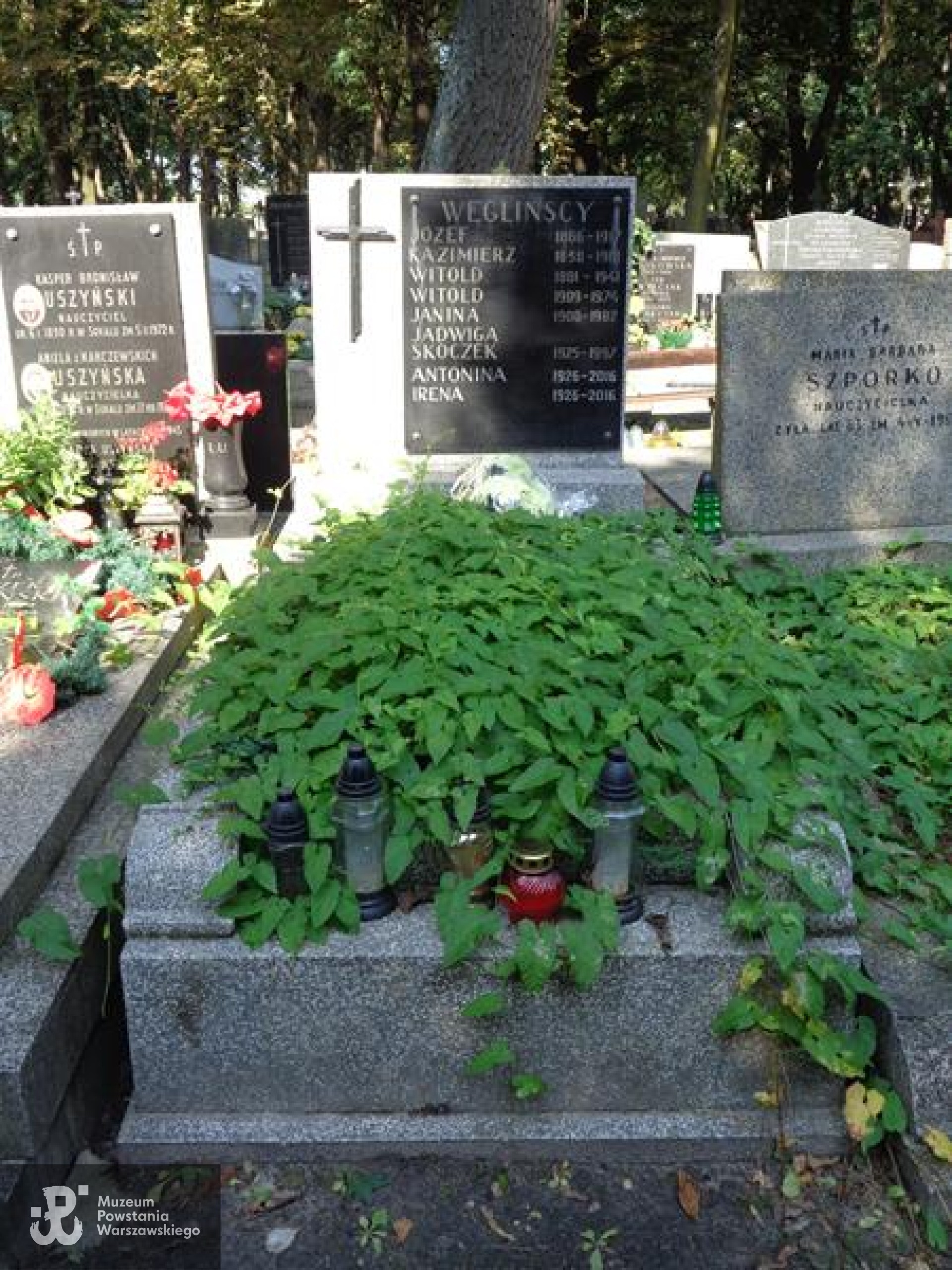 Cmentarz Powązkowski w Warszawie (Stare Powązki), kwatera  326, rząd 1, grób 9. Fot. Warszawskie Zabytkowe Pomniki Nagrobne:  serwis mapowy m. st. Warszawy: <i>cmentarze.um.warszawa.pl</i>