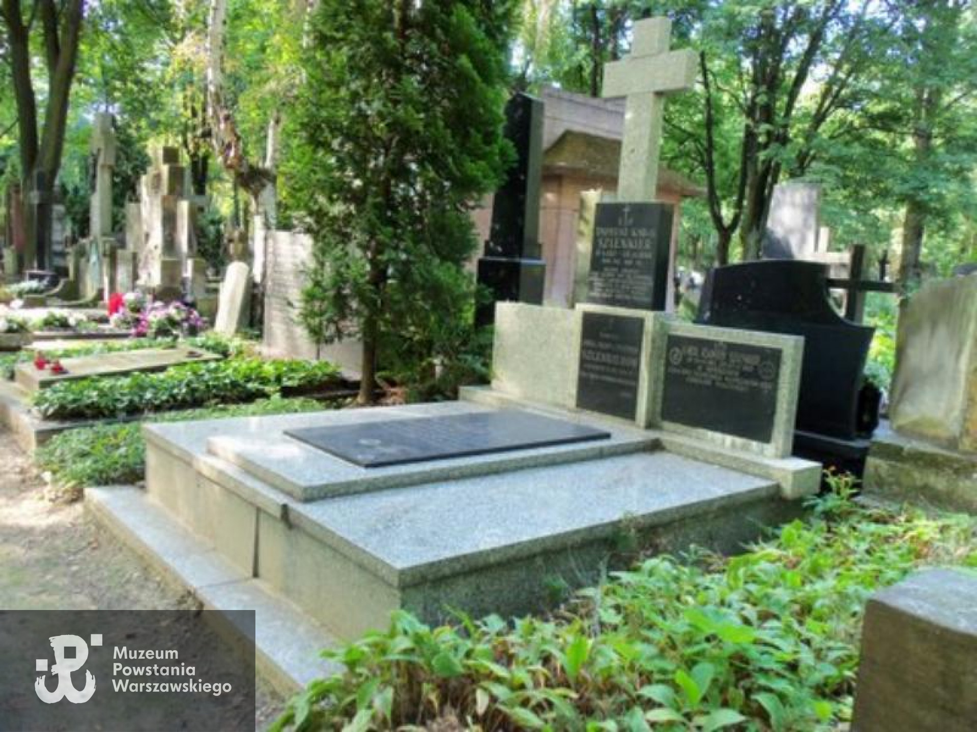  Cmentarz Powązkowski w Warszawie (Stare Powązki), kwatera  Z, rząd 3, miejsce 19-20, grób Zofii Szlenkierówny. Fot. Warszawskie Zabytkowe Pomniki Nagrobne:  <i>cmentarze.um.warszawa.pl</i>