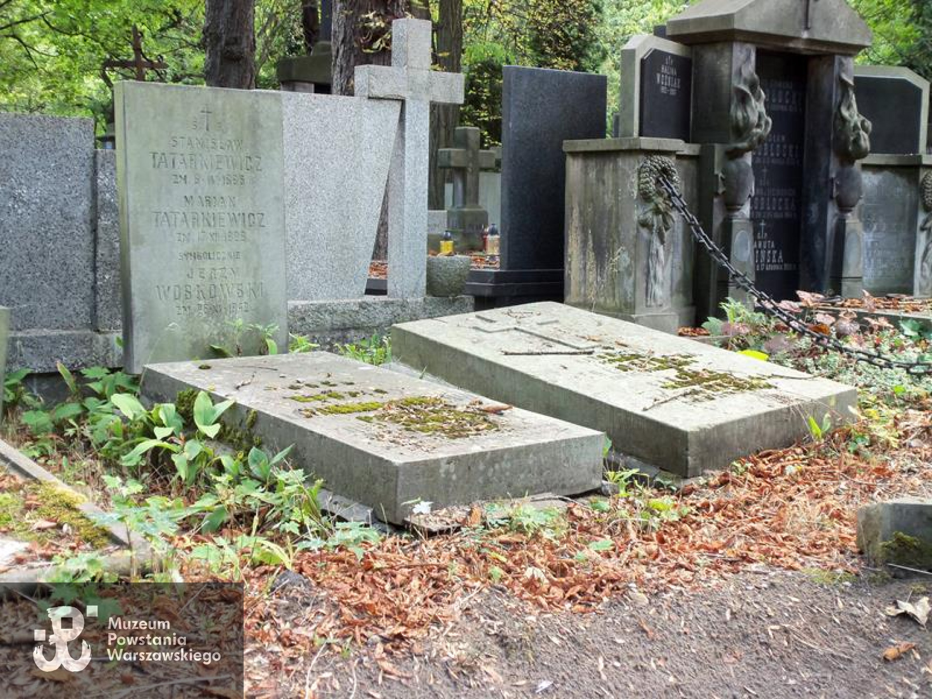 Cmentarz Powązkowski w Warszawie, kwatera 208, rząd 6, miejsce 3 - grób rodziny Tatarkiewiczów. Jest to także miejsce symbolicznego upamiętnienia Jerzego Woskowskiego (zm. 1942).  Fot. Warszawskie Zabytkowe Pomniki Nagrobne - <i>cmentarze.um.warszawa.pl</i>