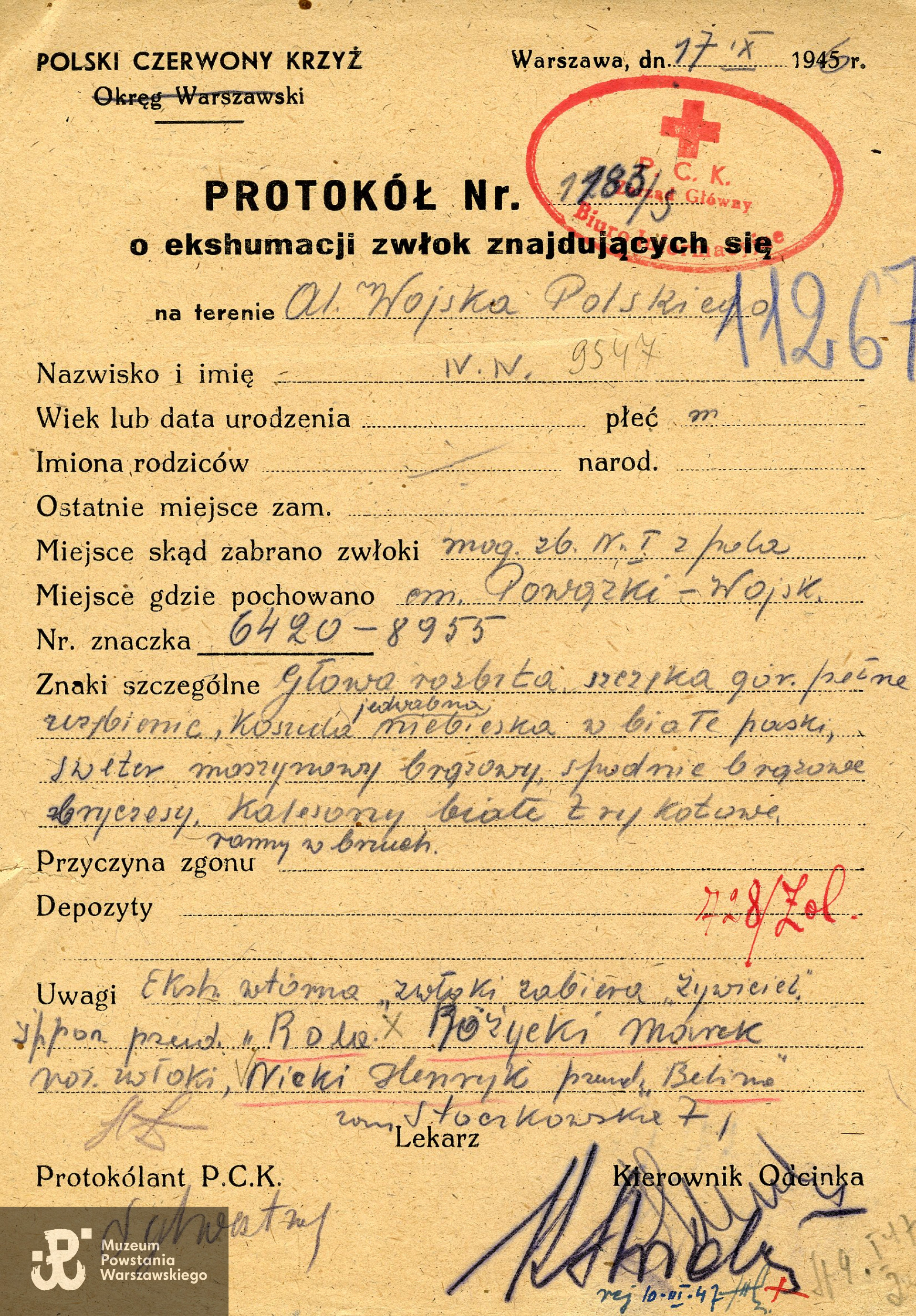 Protokół ekshumacyjny por. Marka Różyckiego "Roli" - Polski Czerwony Krzyż.
