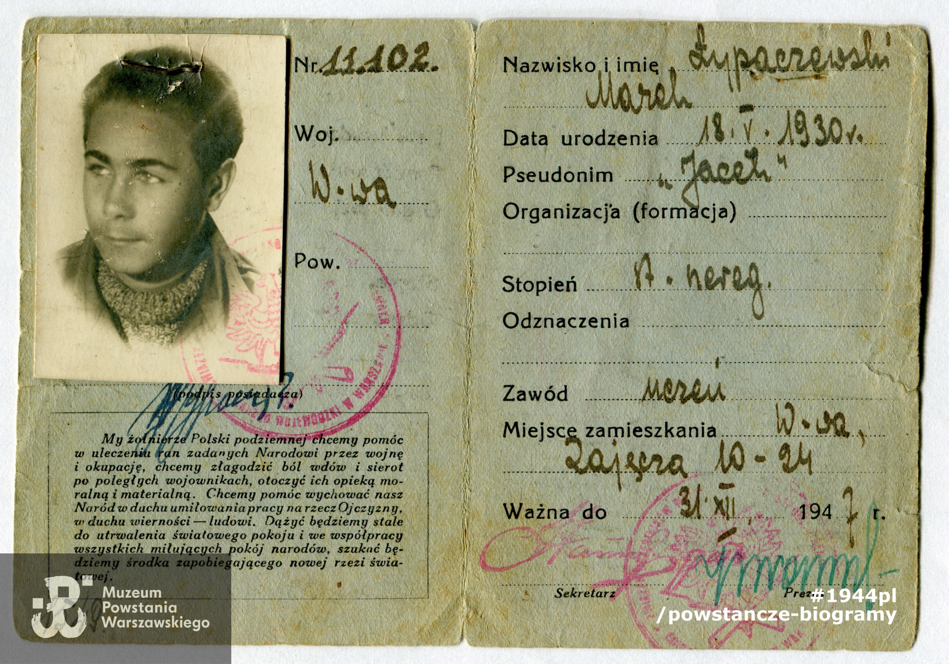 Powojenna legitymacja członkowska ZBoWiD należąca do Marka Łypaczewskiego ps. Jacek. Ze zbiorów prywatnych przez p. Marka Sznage, wnuka Zbigniewa Sznage ps. Rozmaryn