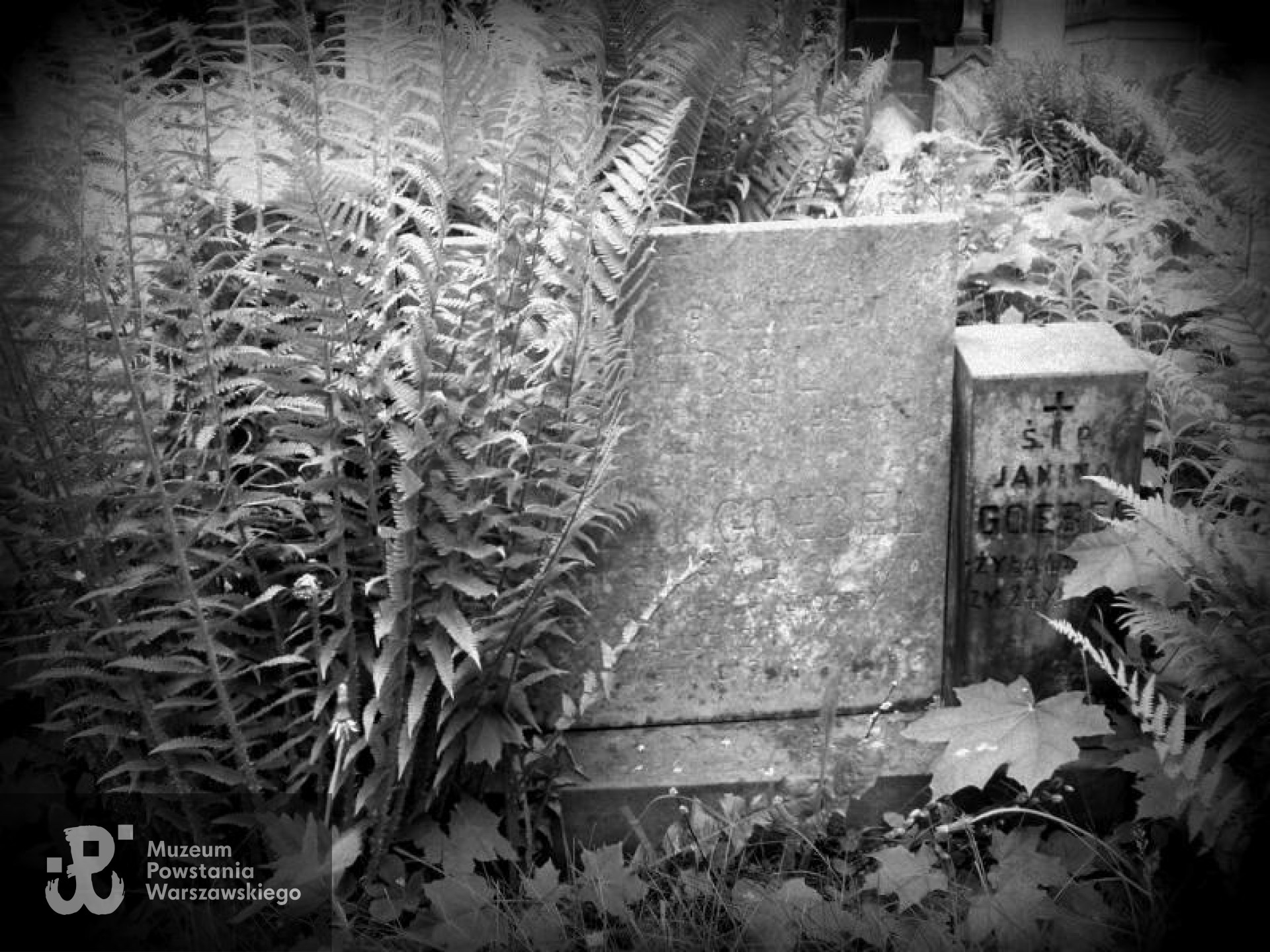 Fot. Warszawskie Zabytkowe Pomniki Nagrobne:  <i>cmentarze.um.warszawa.pl</i>