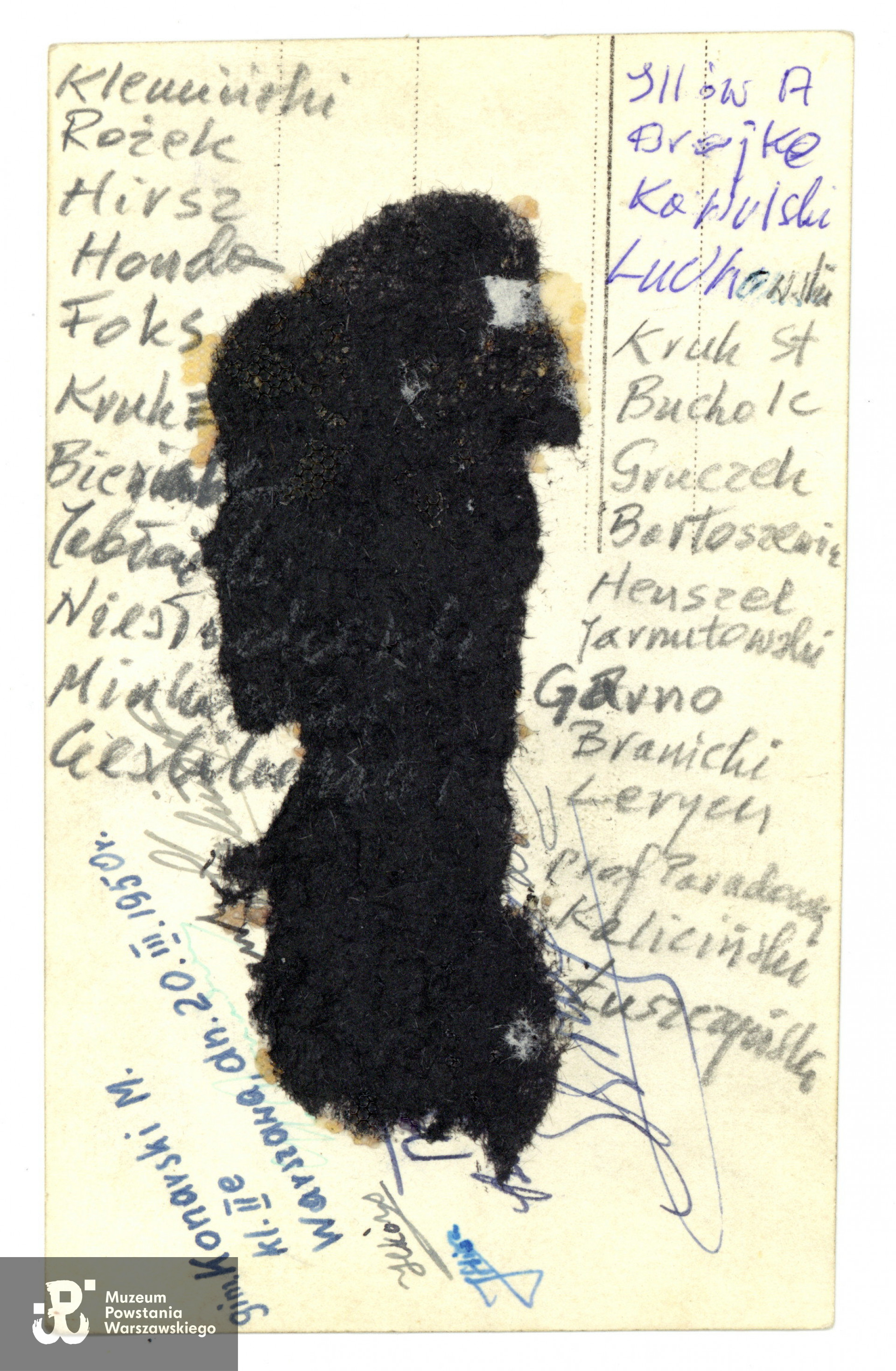 Fot. ze zbiorów rodzinnych, udostępnił  p. Stefan W. Niesłuchowski  "Stefan"