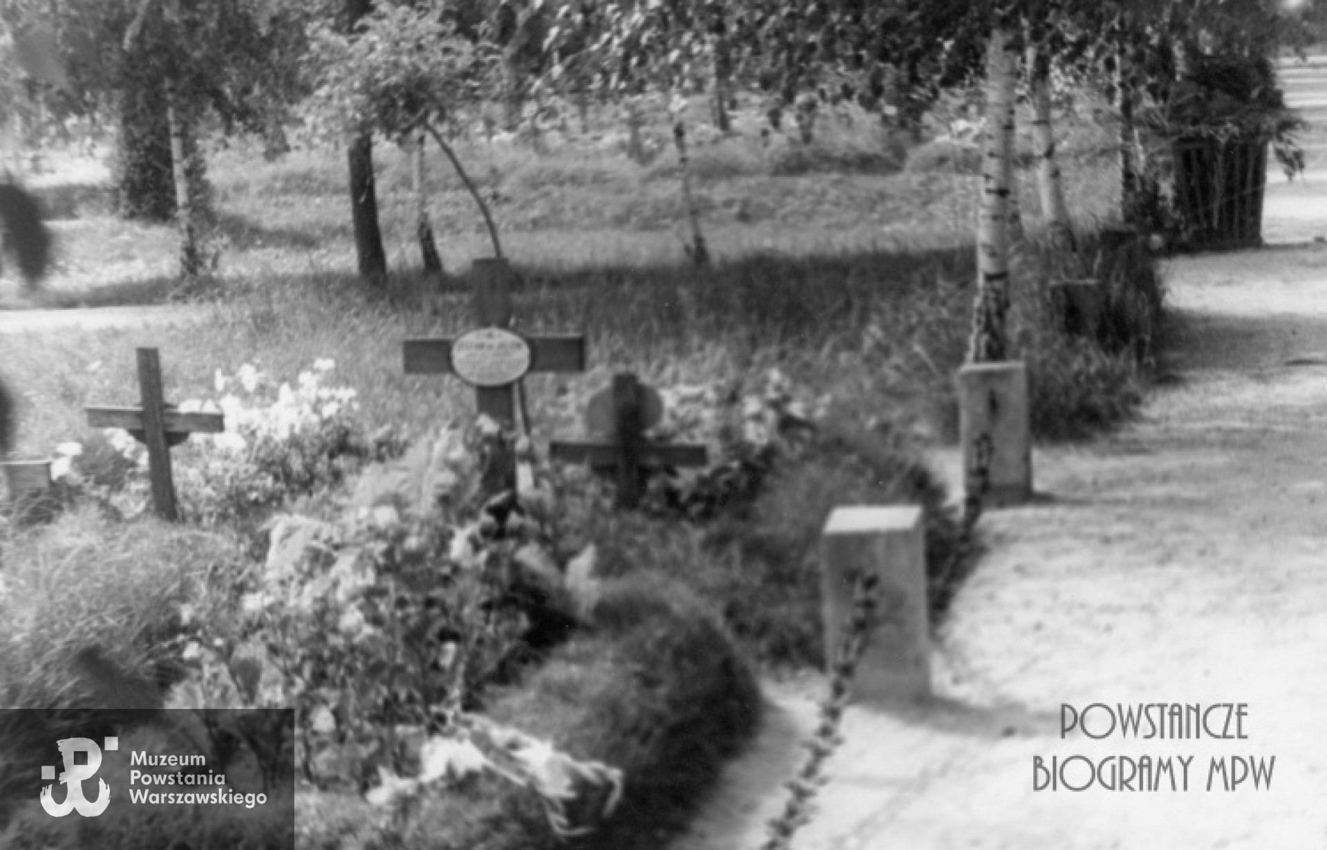 Mogiła Stefana de Julien na Cmentarzu Wojskowym na Powązkach - zdjęcie archiwalne. Fot. ze zbiorów Muzeum Powstania Warszawskiego, sygn. P/228