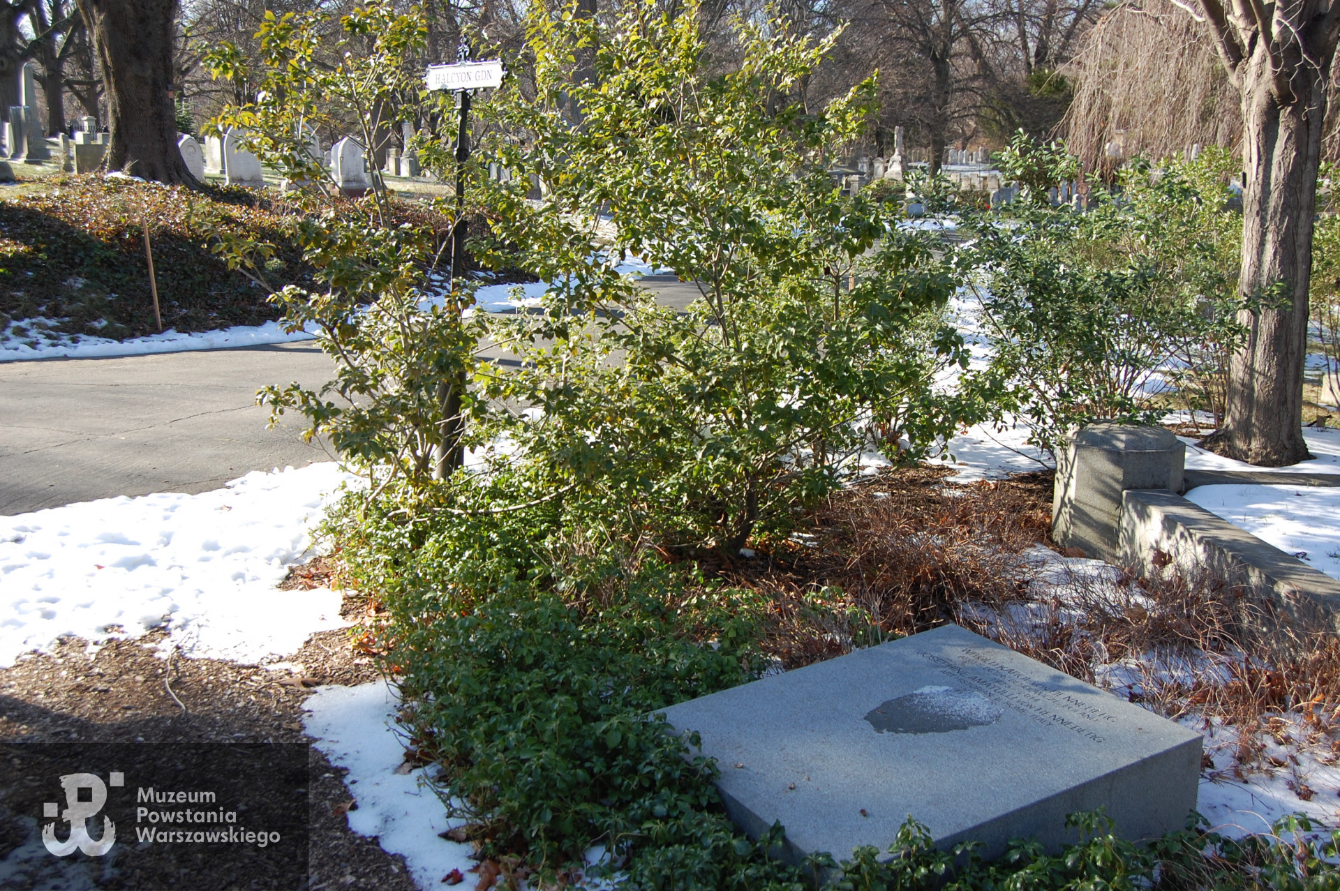 Mount Auburn Cemetery,Lot. 10-855, grób nr 1,  Cambridge, Massachusetts, USA