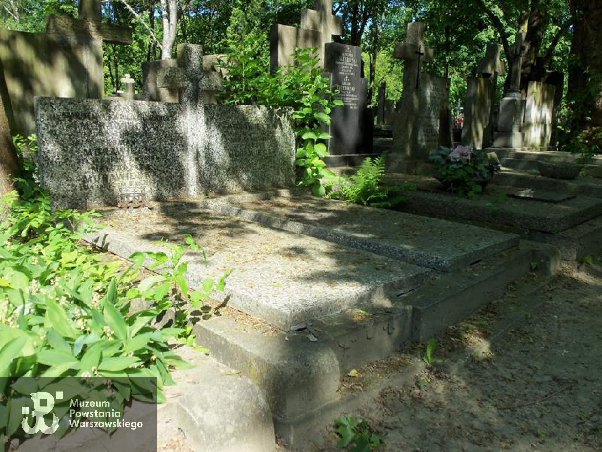 Fot. Warszawskie Zabytkowe Pomniki Nagrobne:  <i>cmentarze.um.warszawa.pl</i>