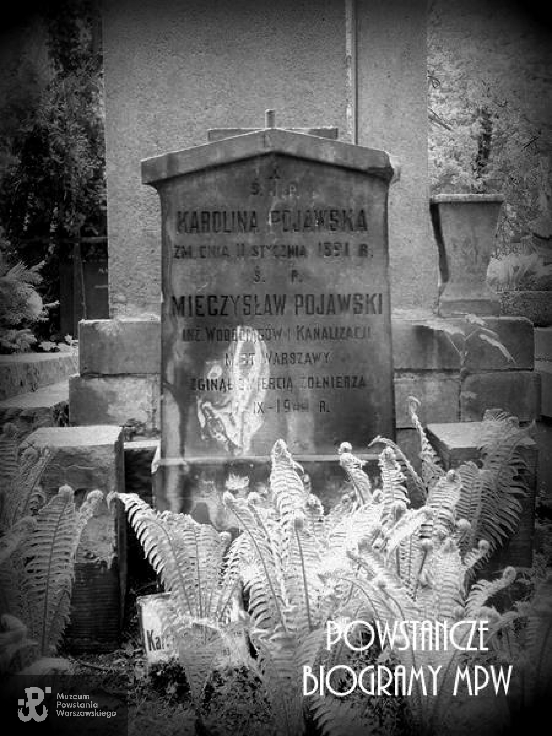 Cmentarz Stare Powązki