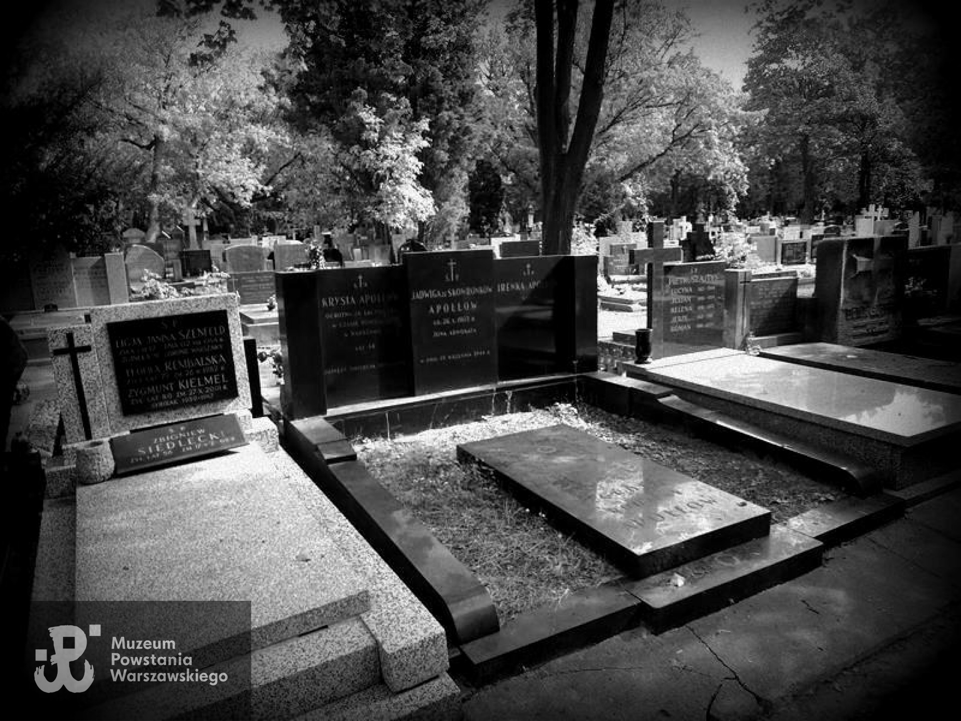 Fot. Warszawskie Zabytkowe Pomniki Nagrobne - <i>cmentarze.um.warszawa.pl</i>