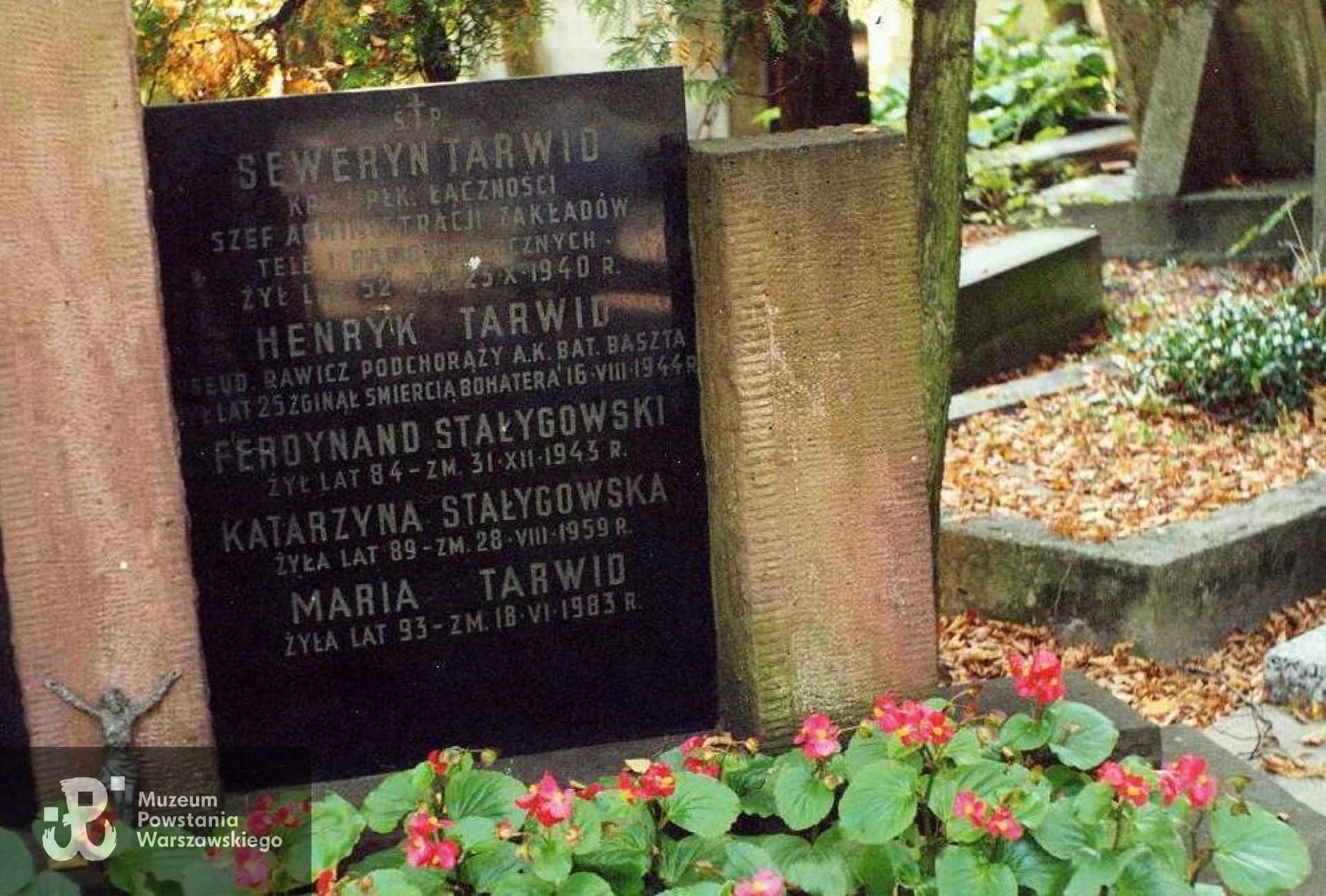 Powązki Wojskowe. Fot. A. Dławichowski