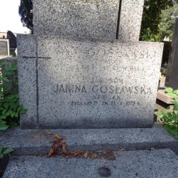 Fot. Warszawskie Zabytkowe Pomniki Nagrobne:  serwis mapowy m. st. Warszawy: <i>cmentarze.um.warszawa.pl</i>