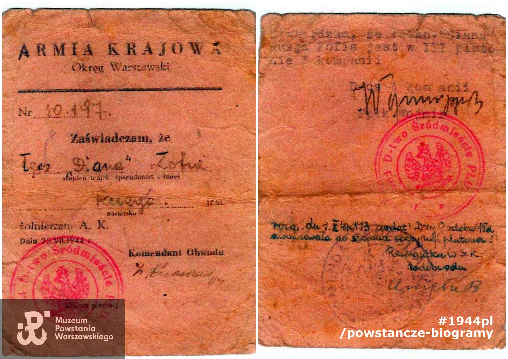 Należąca do Zofii Ruzgi legitymacja Armii Krajowej. Skan ze zbiorów rodzinnych