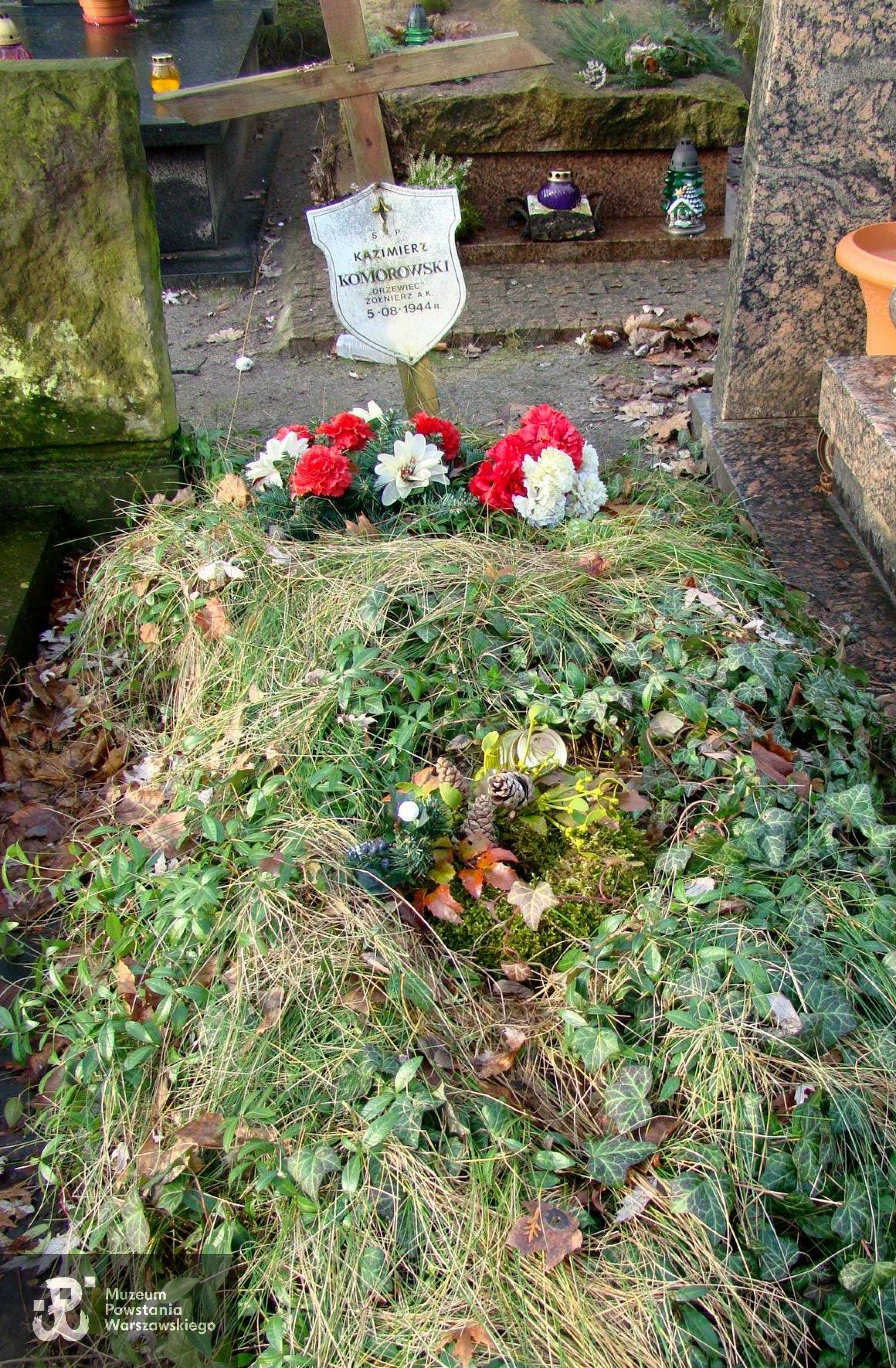 Fot. udostępniła p. Beata Trzcińska