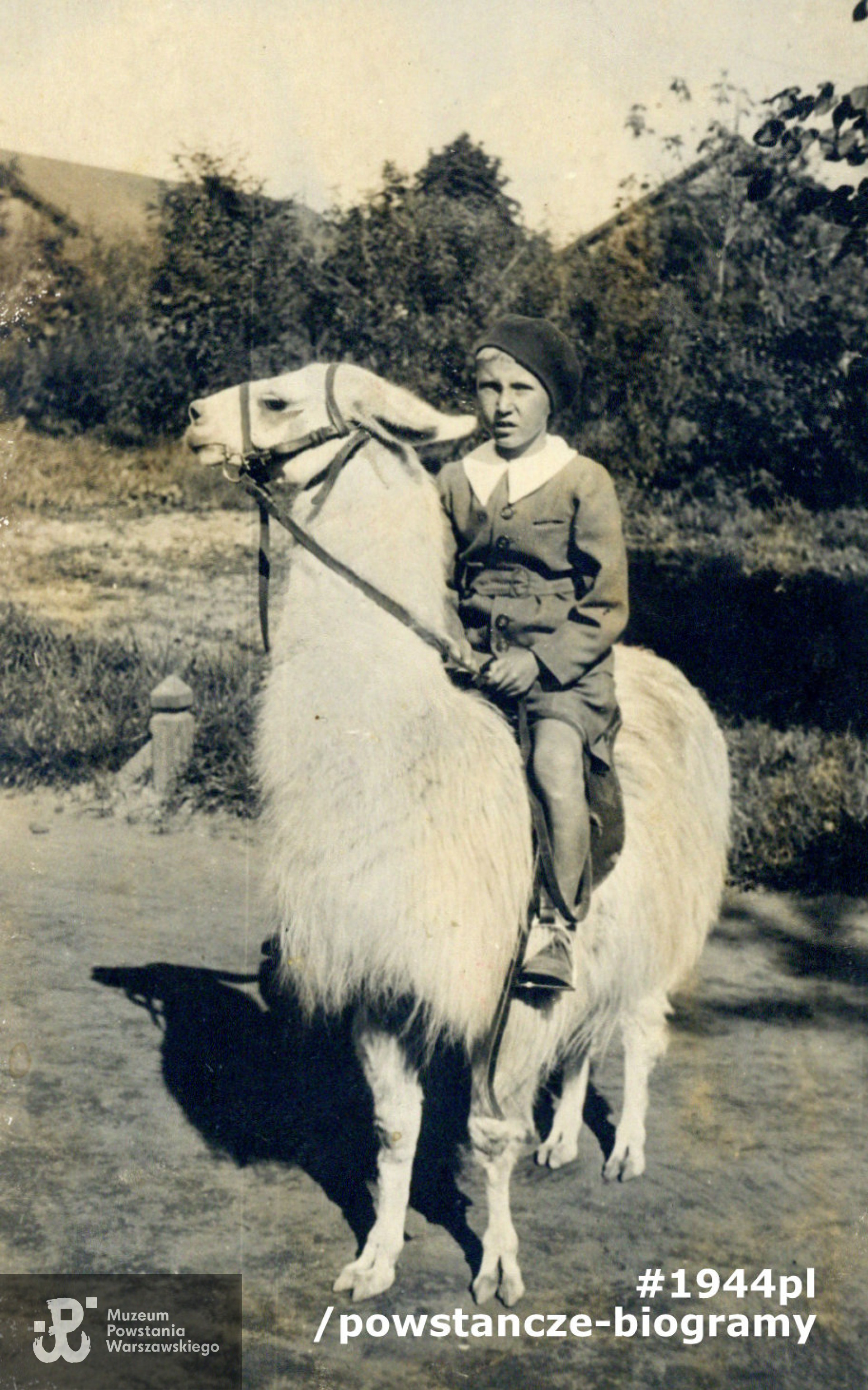 Fot. ze zbiorów rodzinnych, udostępnił p. Tomasz Bodych, syn Powstańca