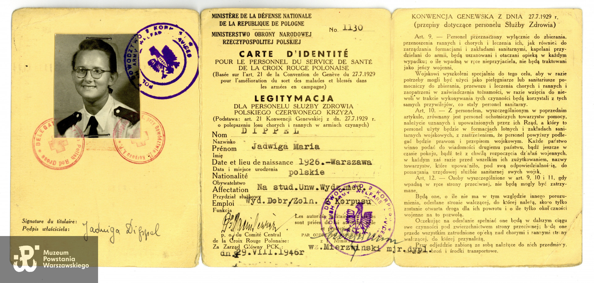 Legitymacja personelu służby zdrowia PCK. Dokument ze zbiorów prywatnych p. Jadwigi Dippel - Bossowskiej.