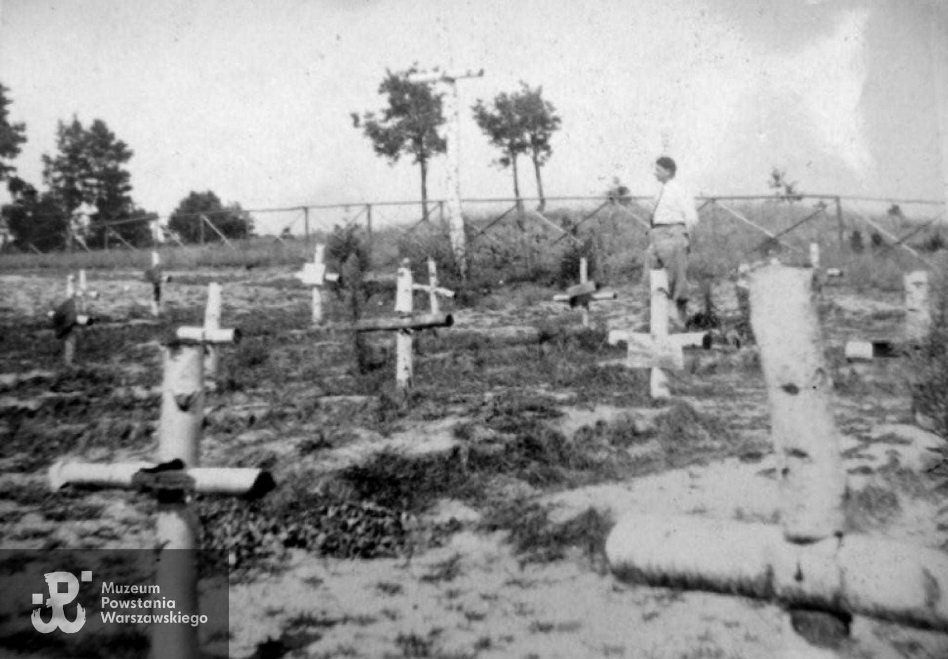 Cmentarz w Wierszach - 1946. Z archiwum Marka Kamionowskiego