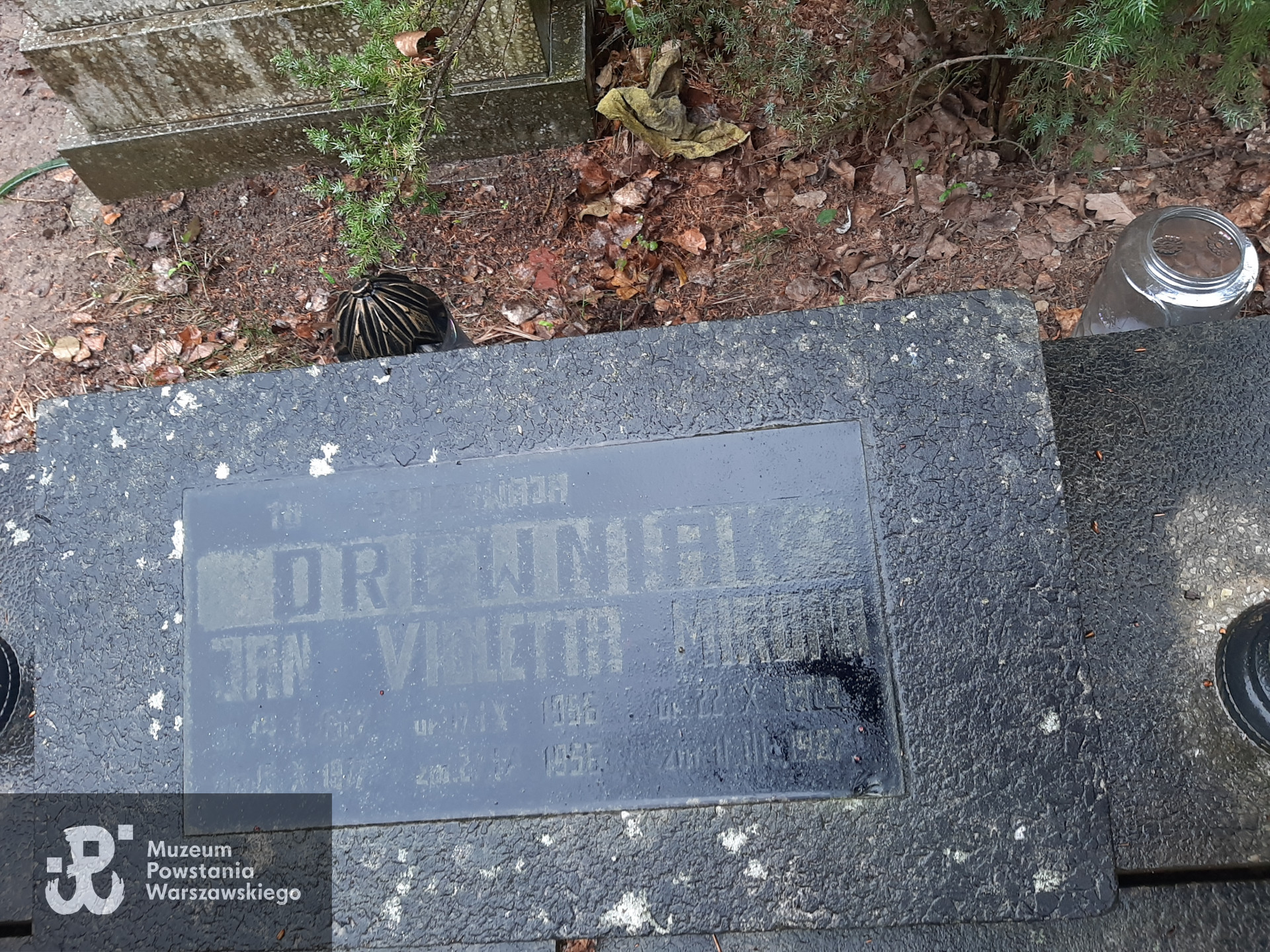 Cmentarz Komunalny w Gorzowie Wielkopolskim, sektor 19B, rząd 5, grób 3.  Fot. Karolina Kowalska, udostępniła autorka