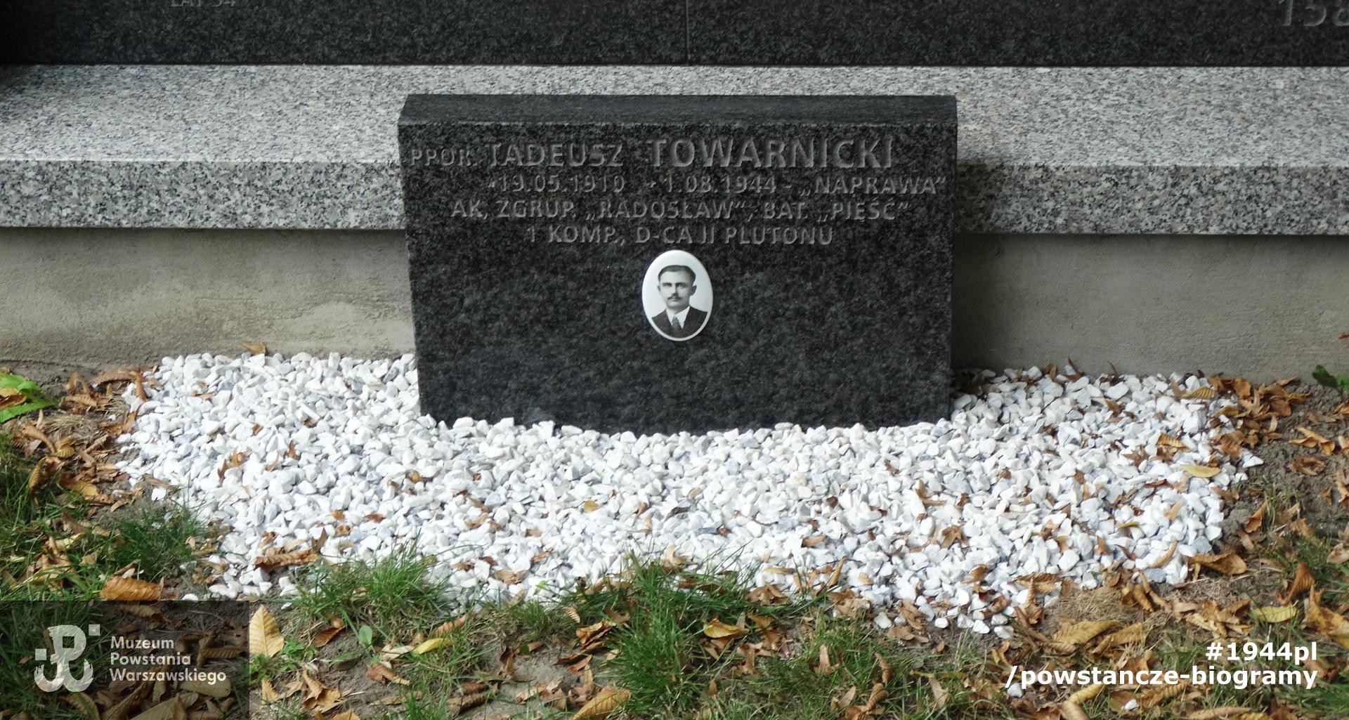 Cmentarz  Powstańców Warszawy (kw.158). Fot. Remigiusz Stefani